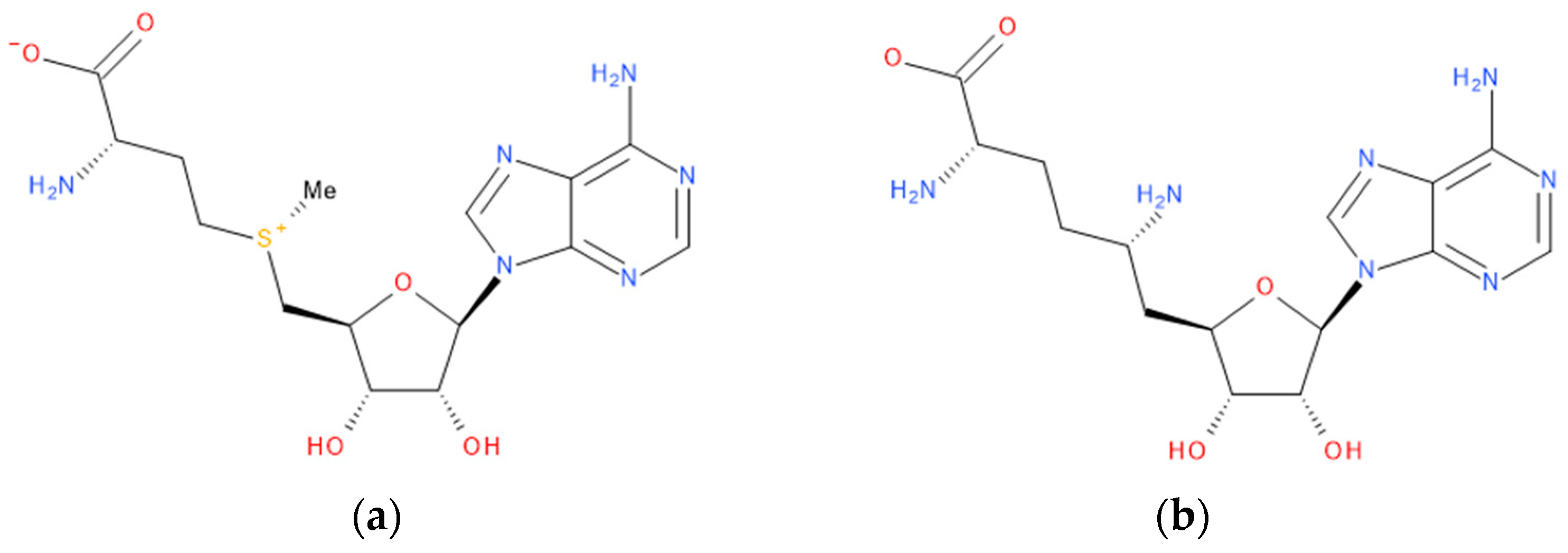 Viruses 16 01073 g001