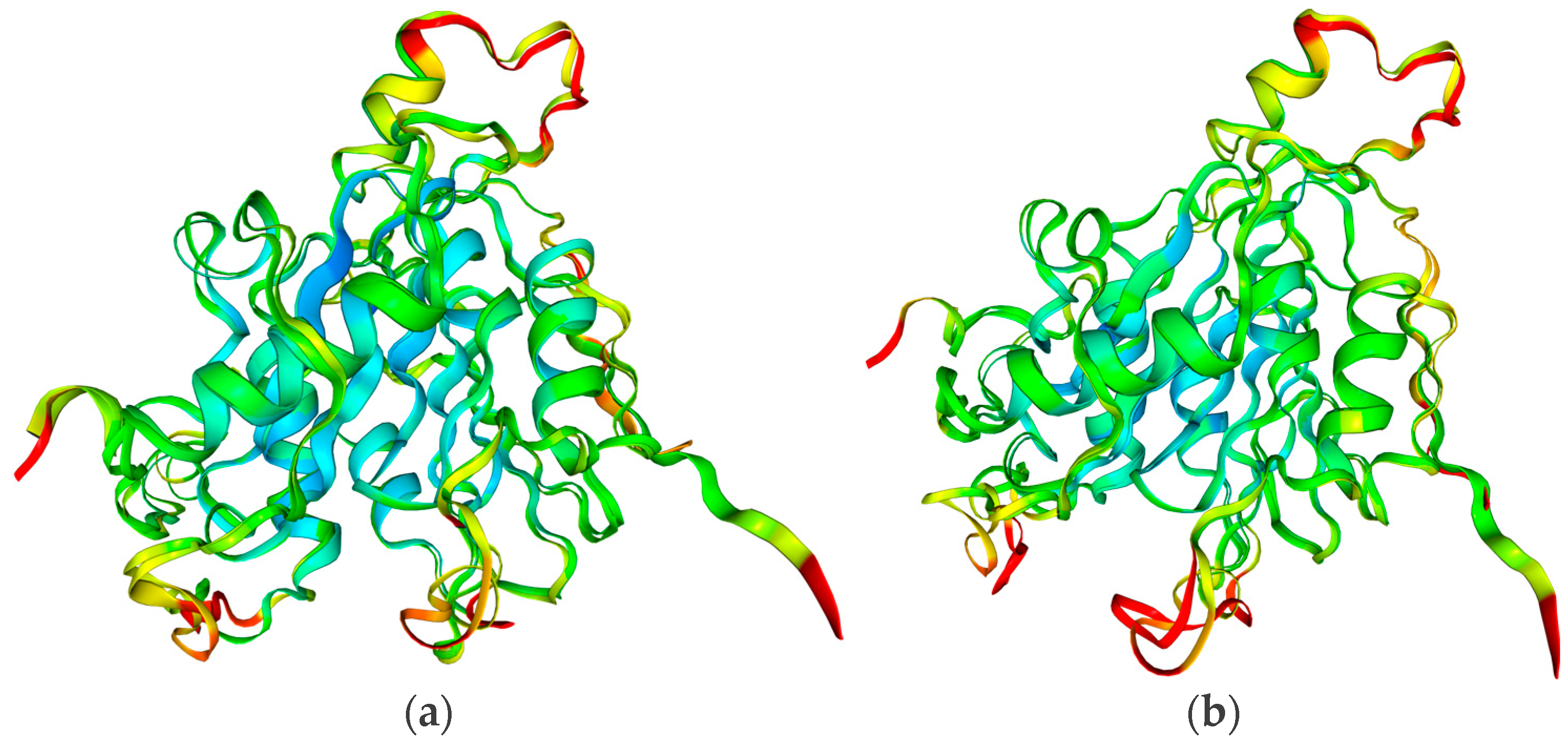 Viruses 16 01073 g005