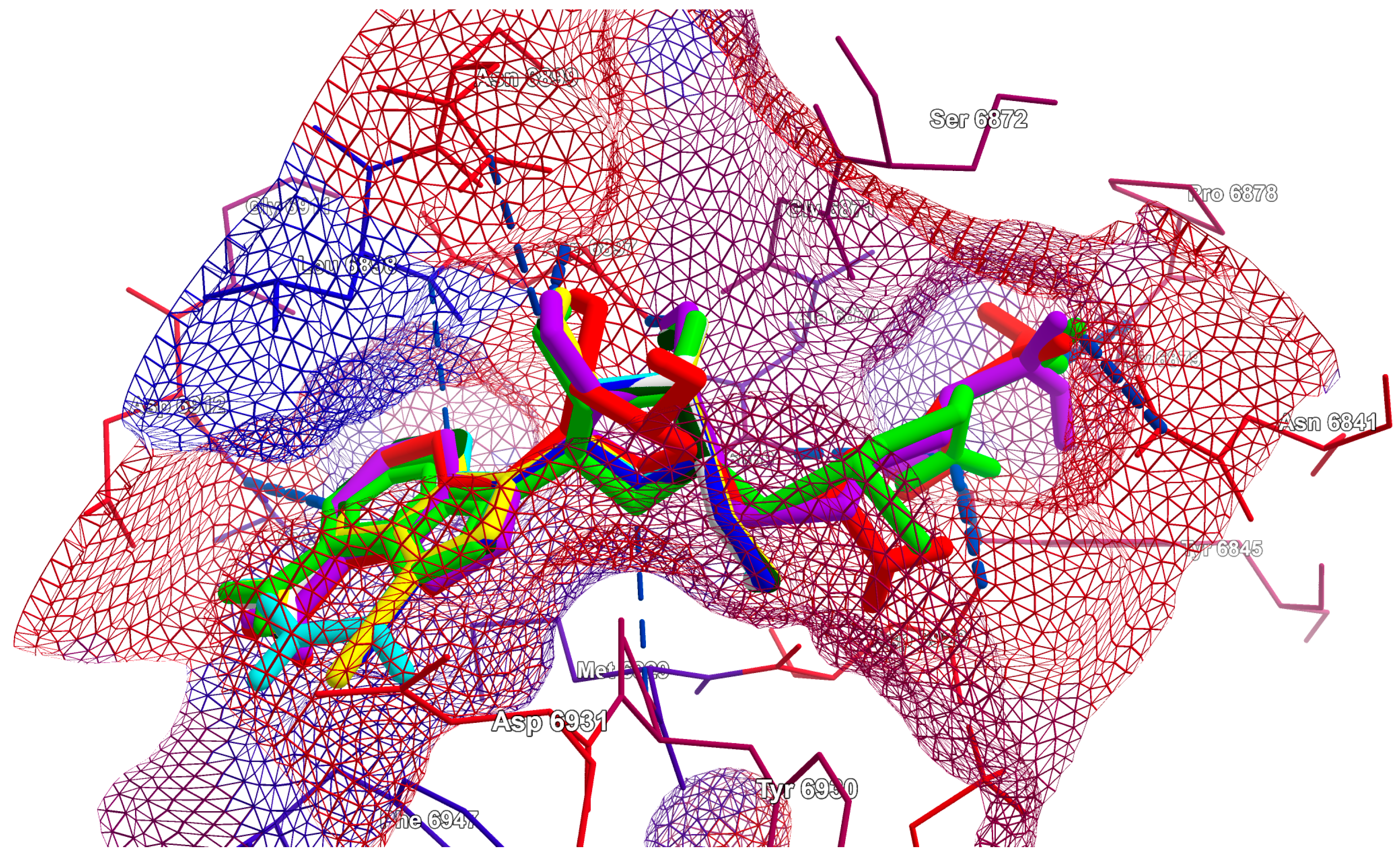 Viruses 16 01073 g010