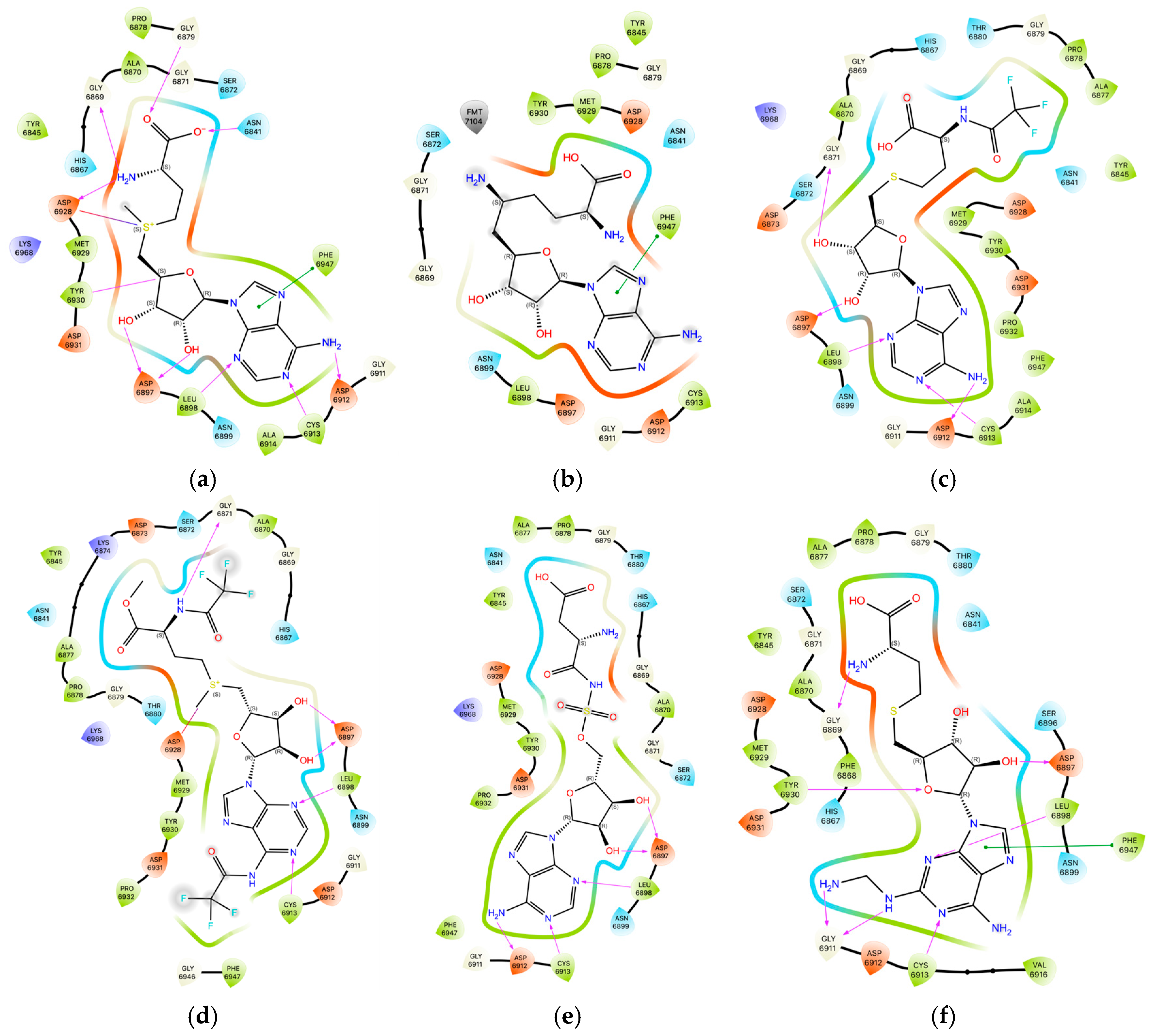 Viruses 16 01073 g012