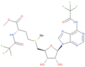 Viruses 16 01073 i010