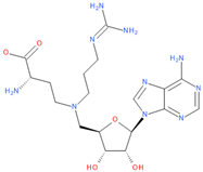 Viruses 16 01073 i014
