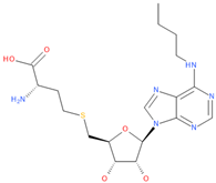Viruses 16 01073 i015