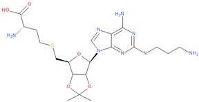 Viruses 16 01073 i016