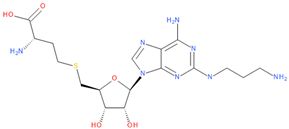 Viruses 16 01073 i017