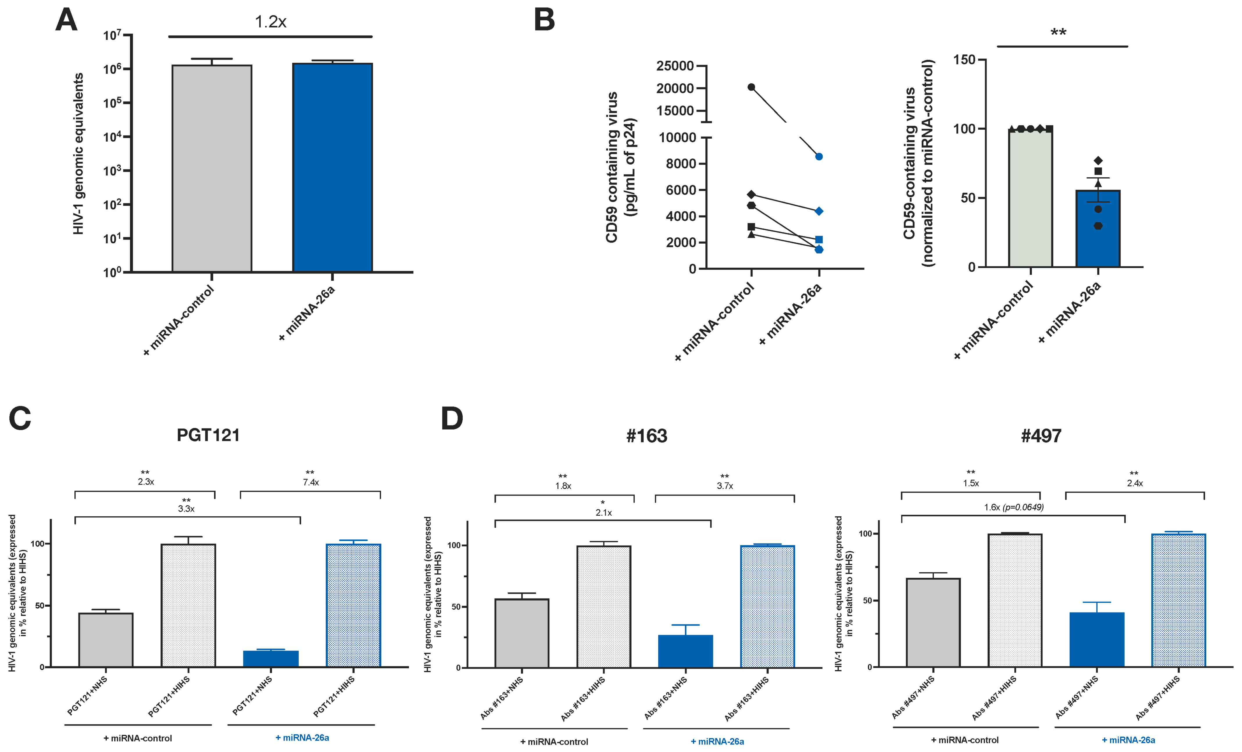 Viruses 16 01076 g006 Viruses 16 01076 g006