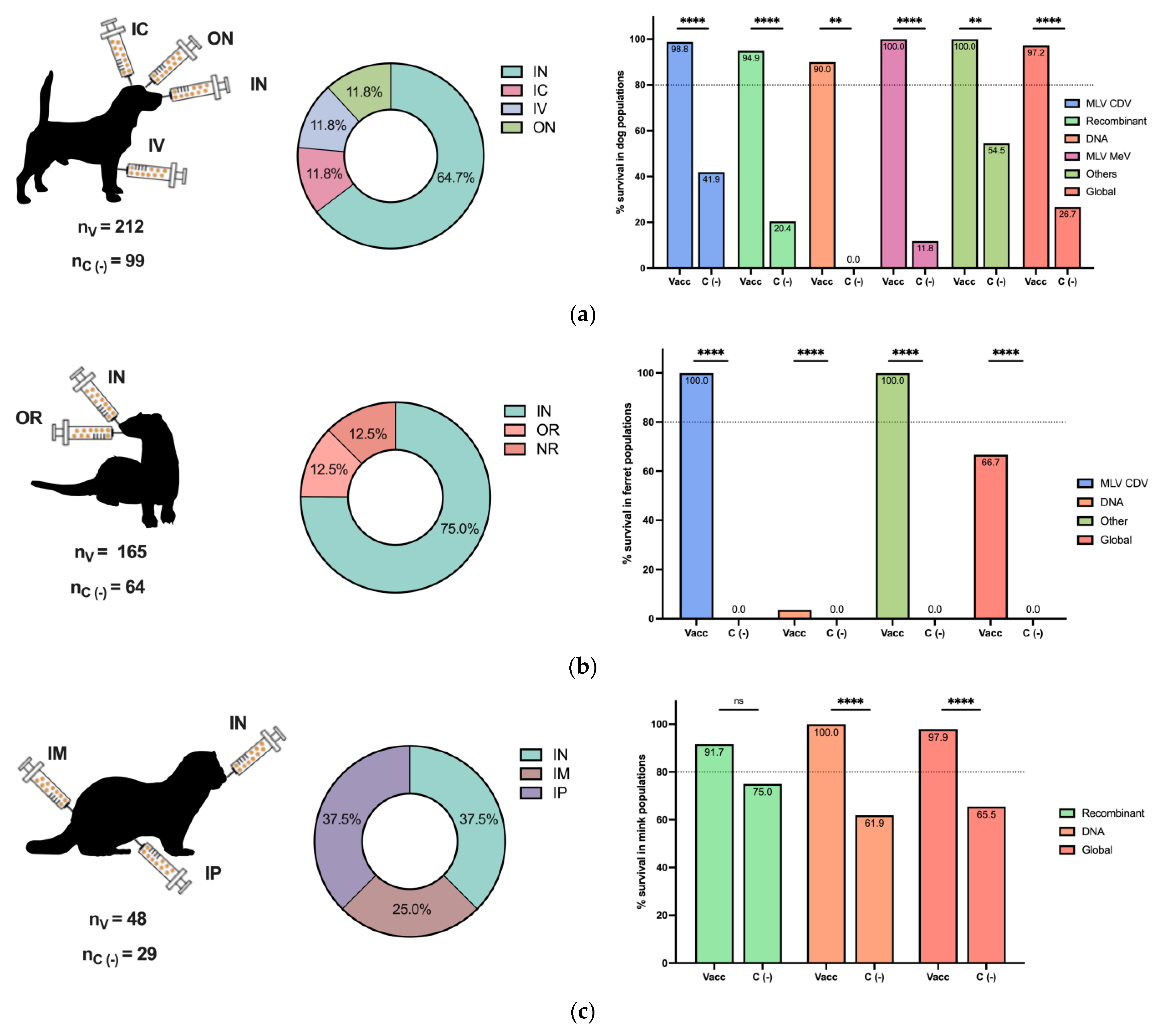 Viruses 16 01078 g003a