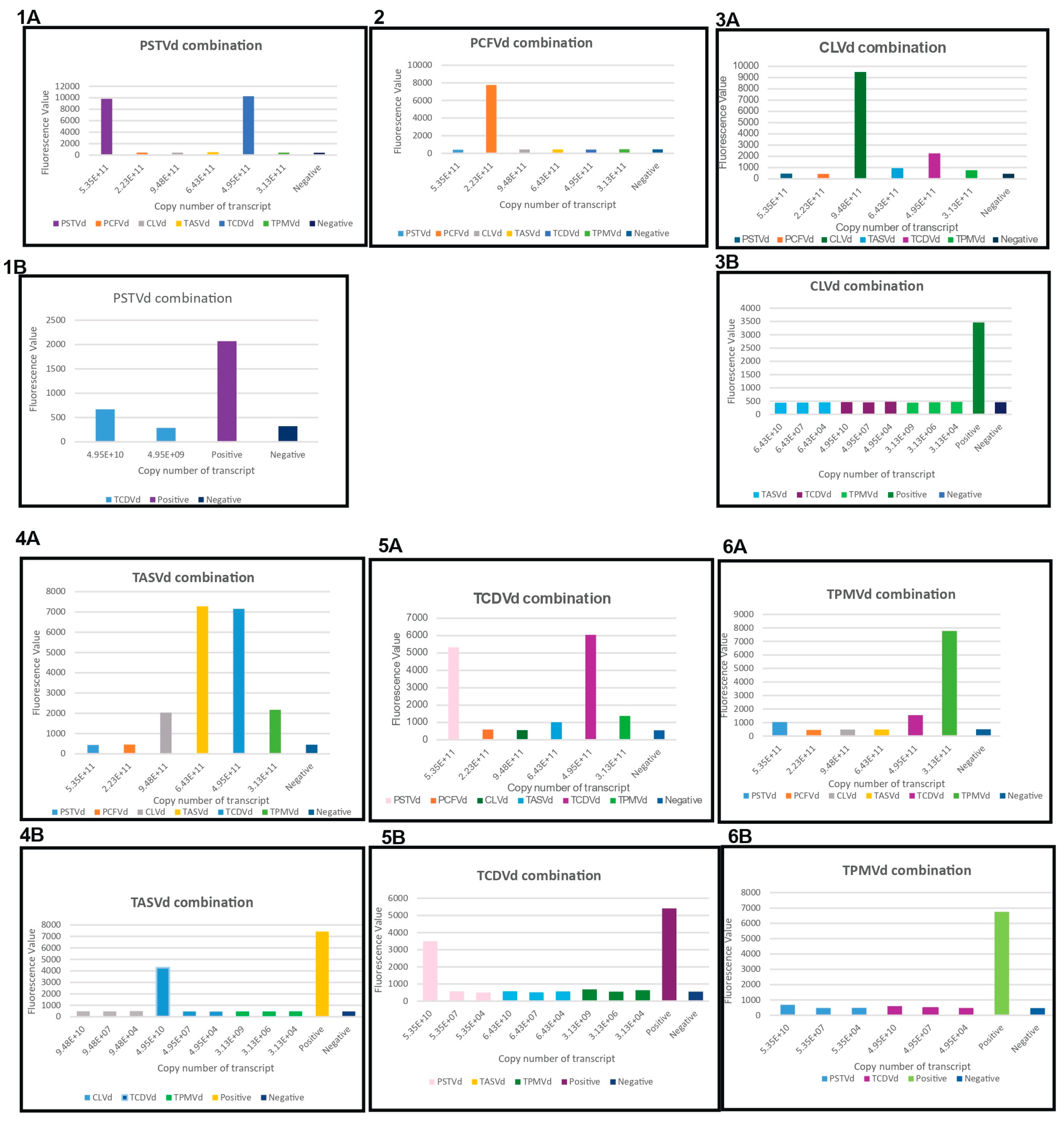 Viruses 16 01079 g003