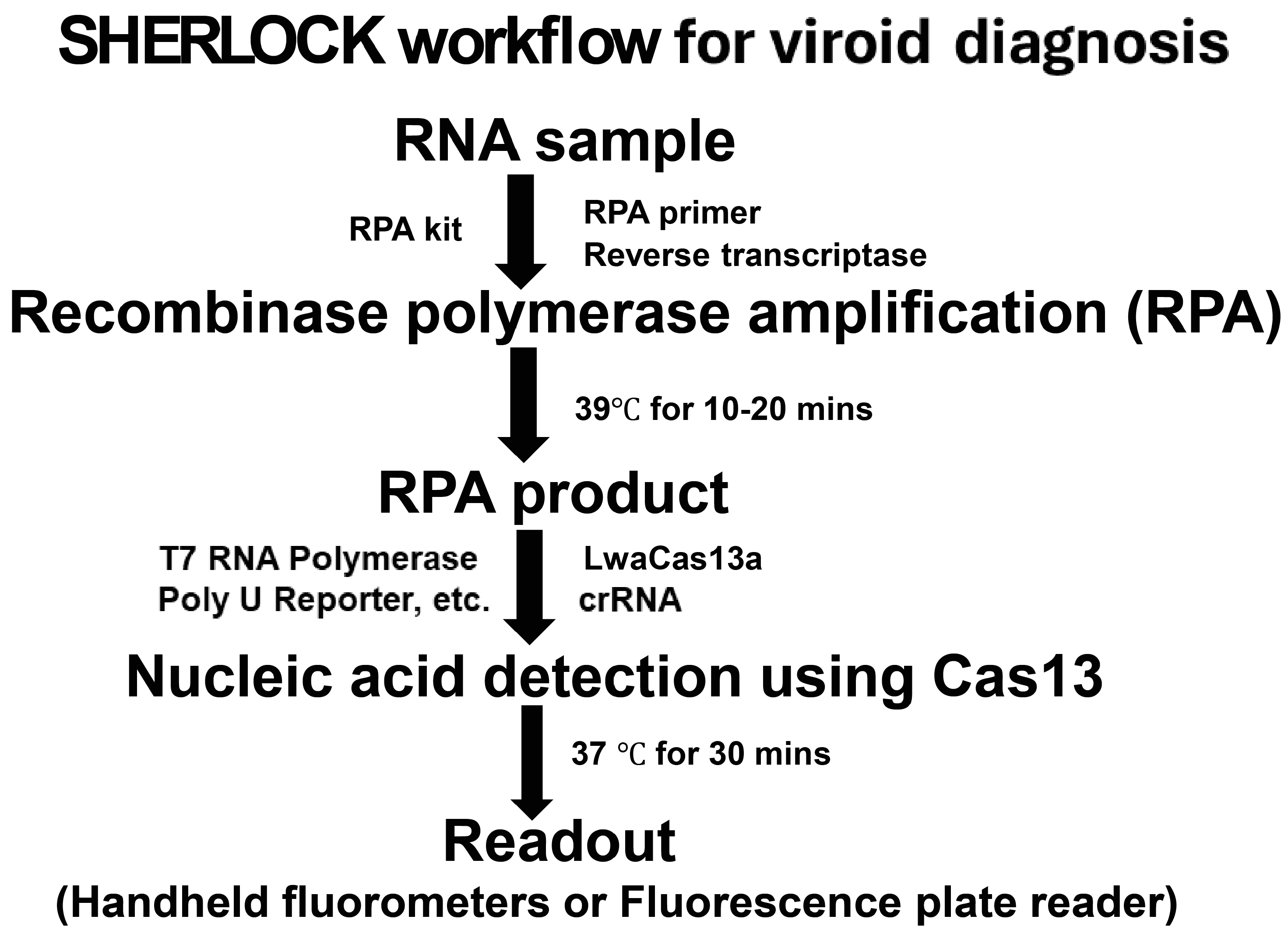 Viruses 16 01079 g006
