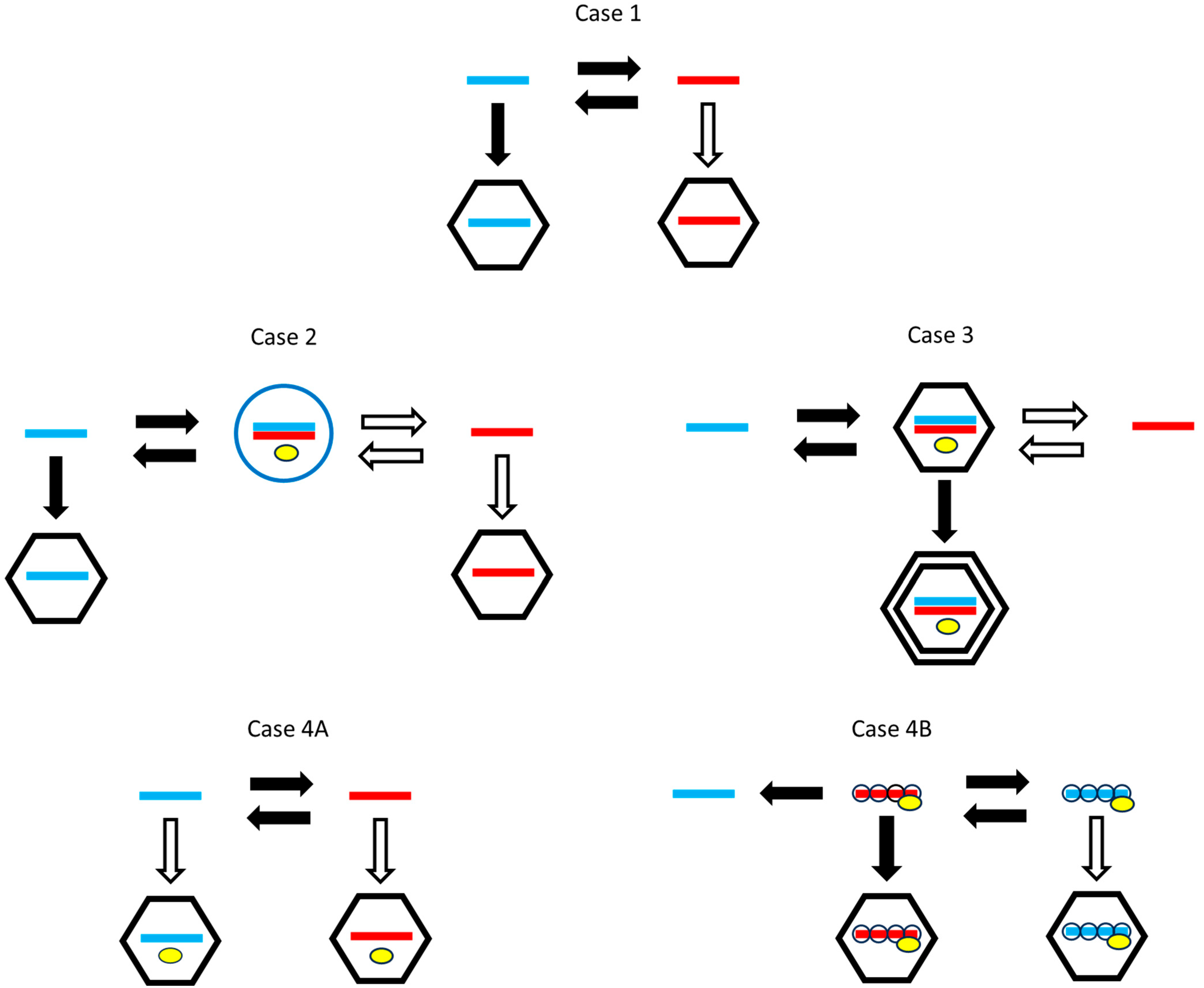 Viruses 16 01081 g001