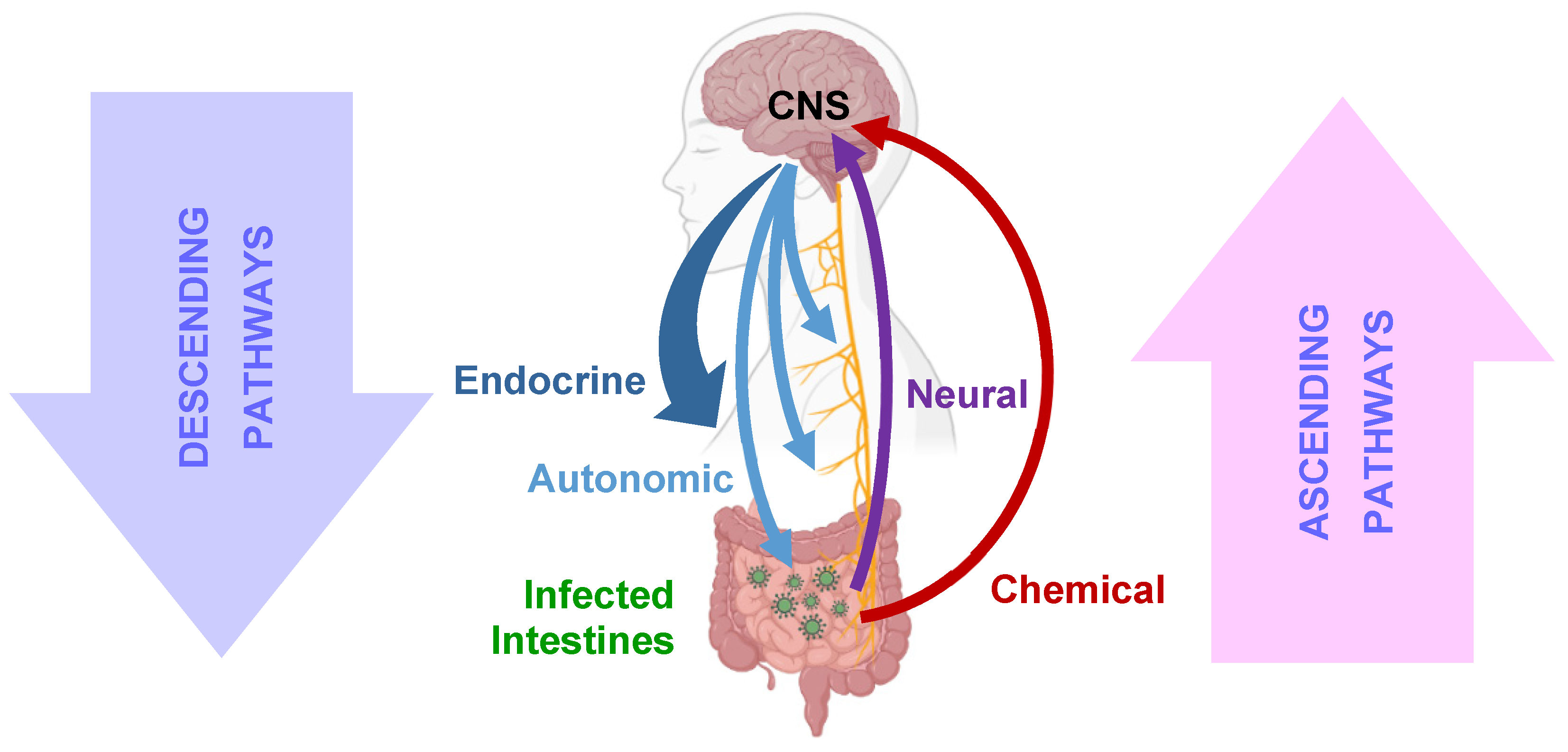 Viruses 16 01086 g002