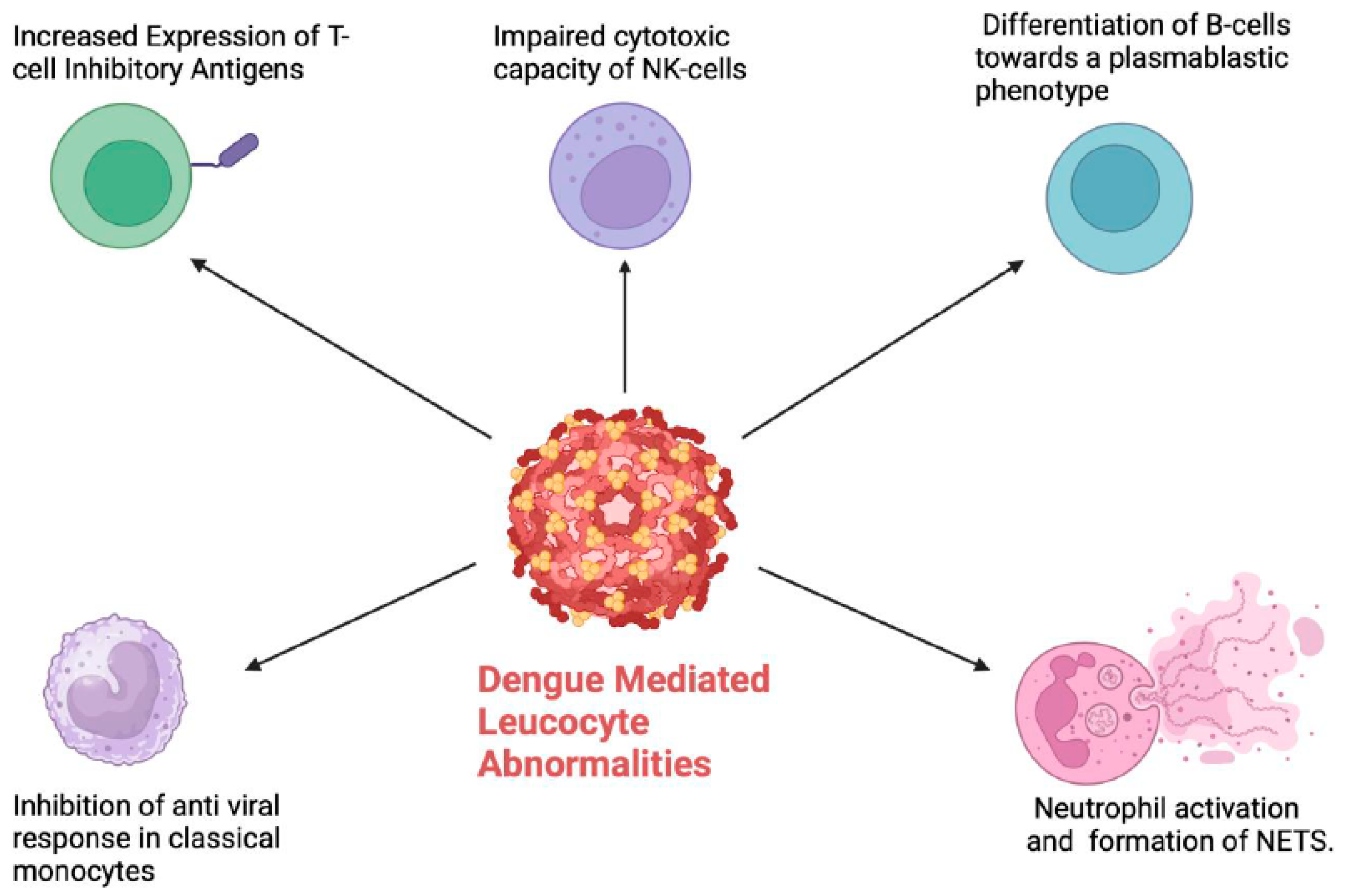 Viruses 16 01090 g003 Viruses 16 01090 g003
