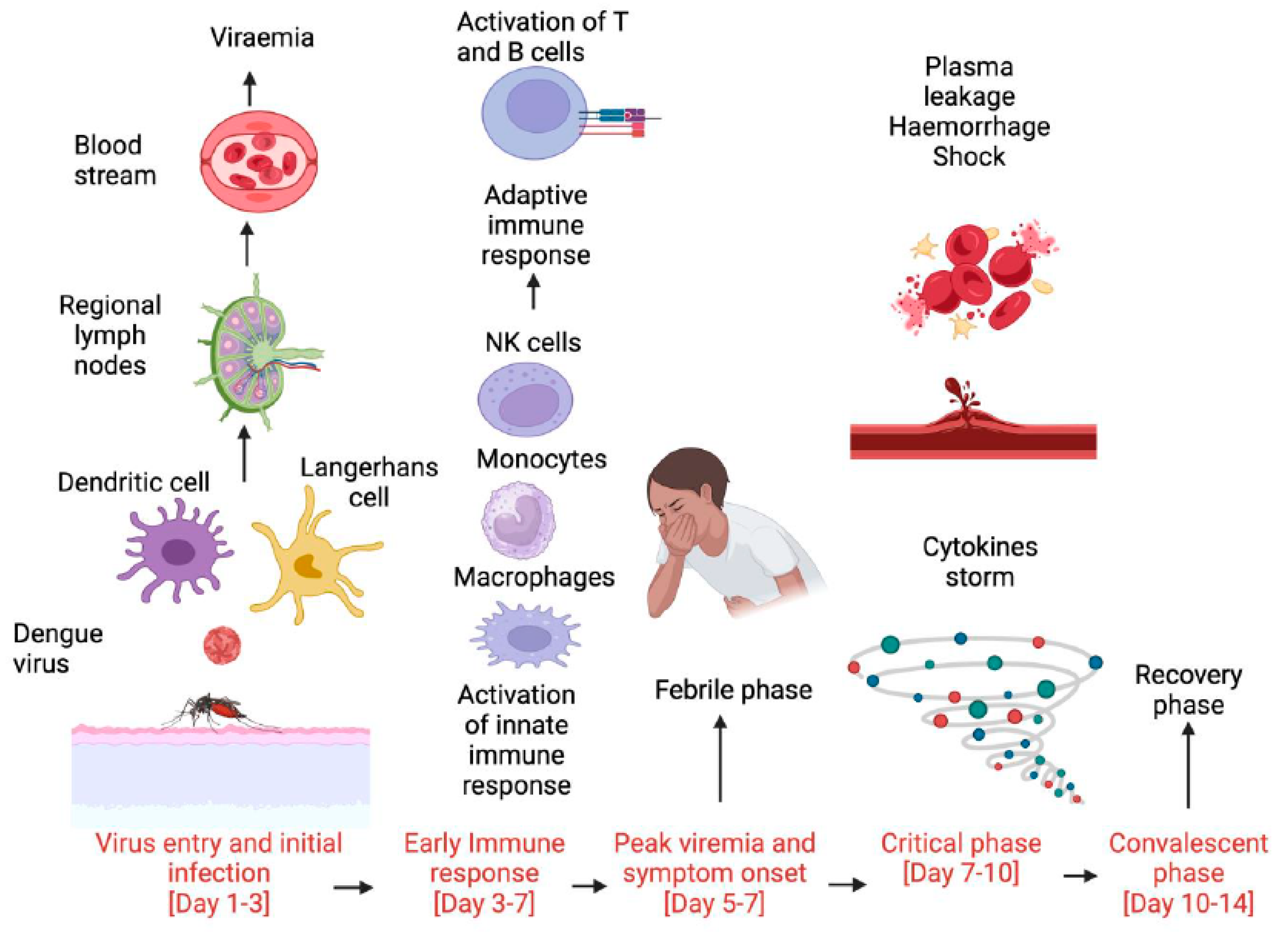 Viruses 16 01090 g004 Viruses 16 01090 g004