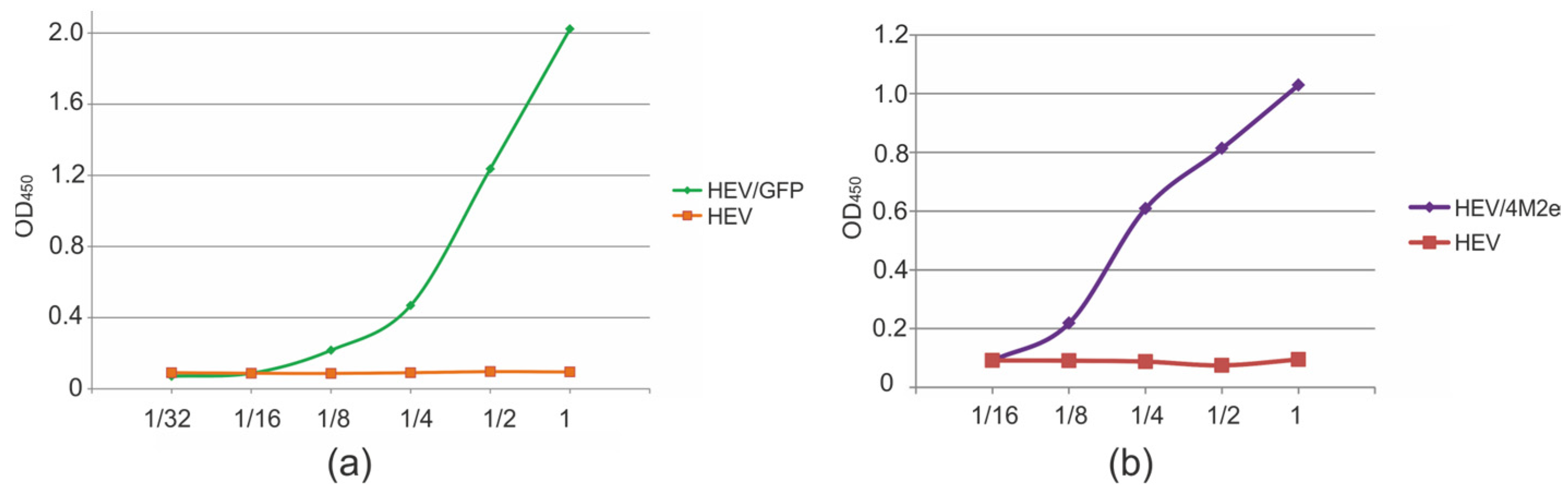 Viruses 16 01093 g005 Viruses 16 01093 g005