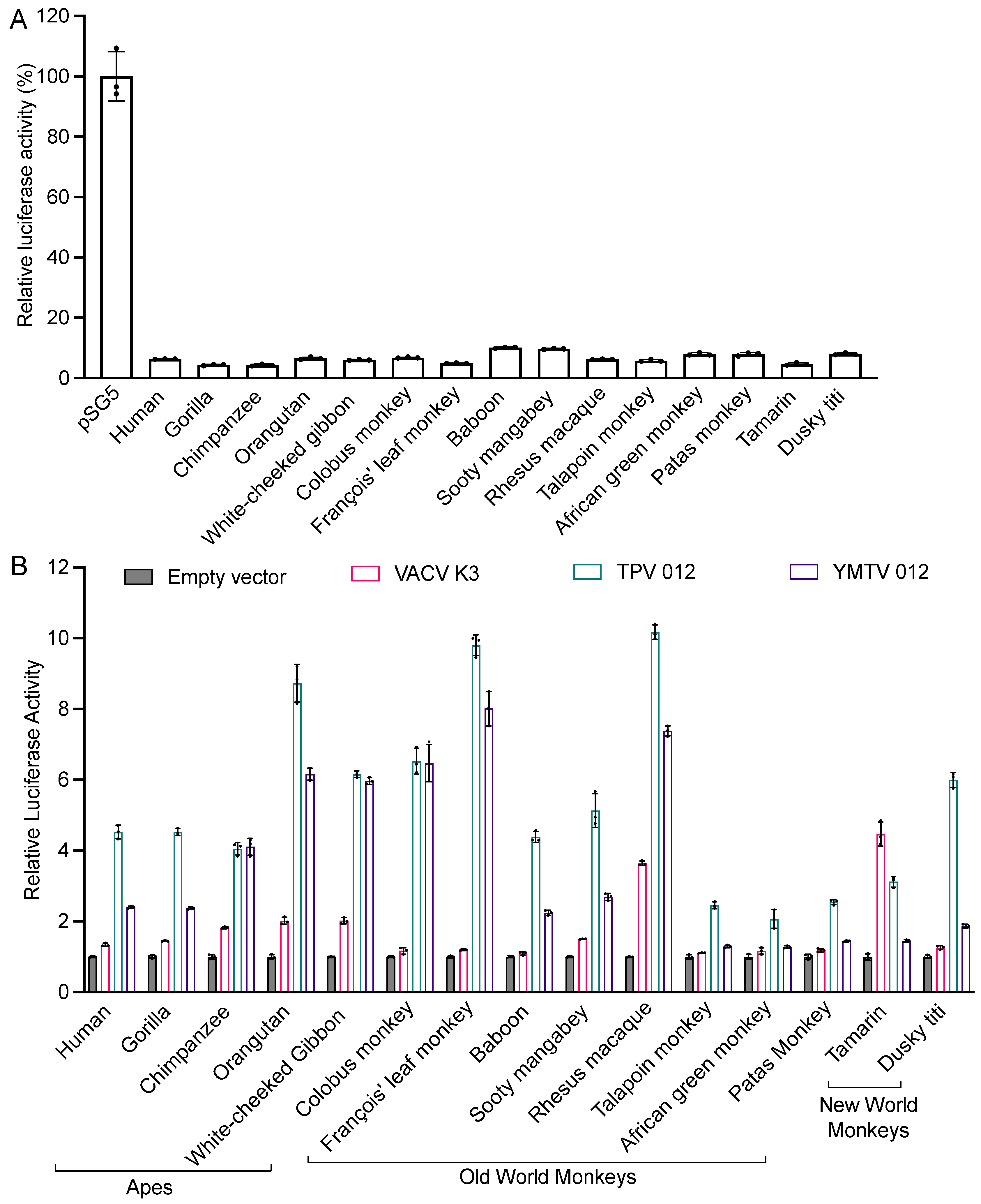 Viruses 16 01095 g002