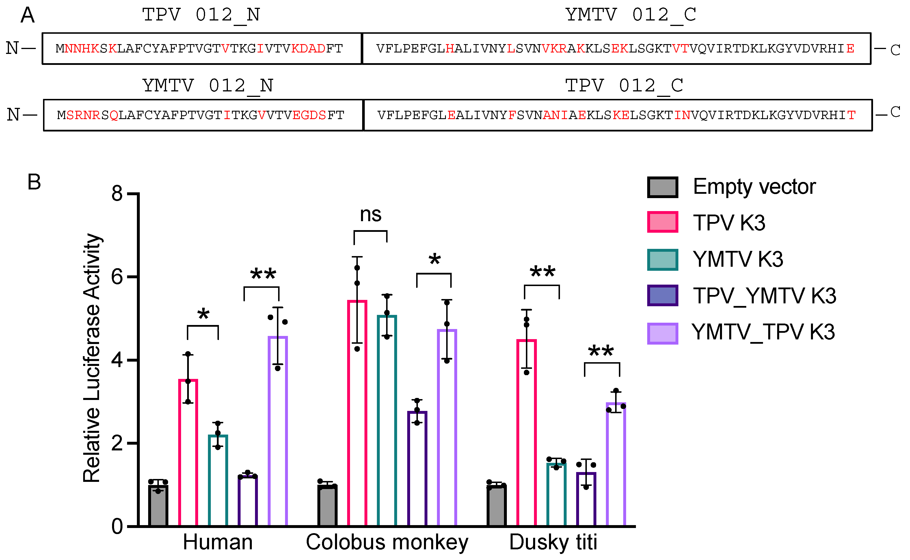 Viruses 16 01095 g004