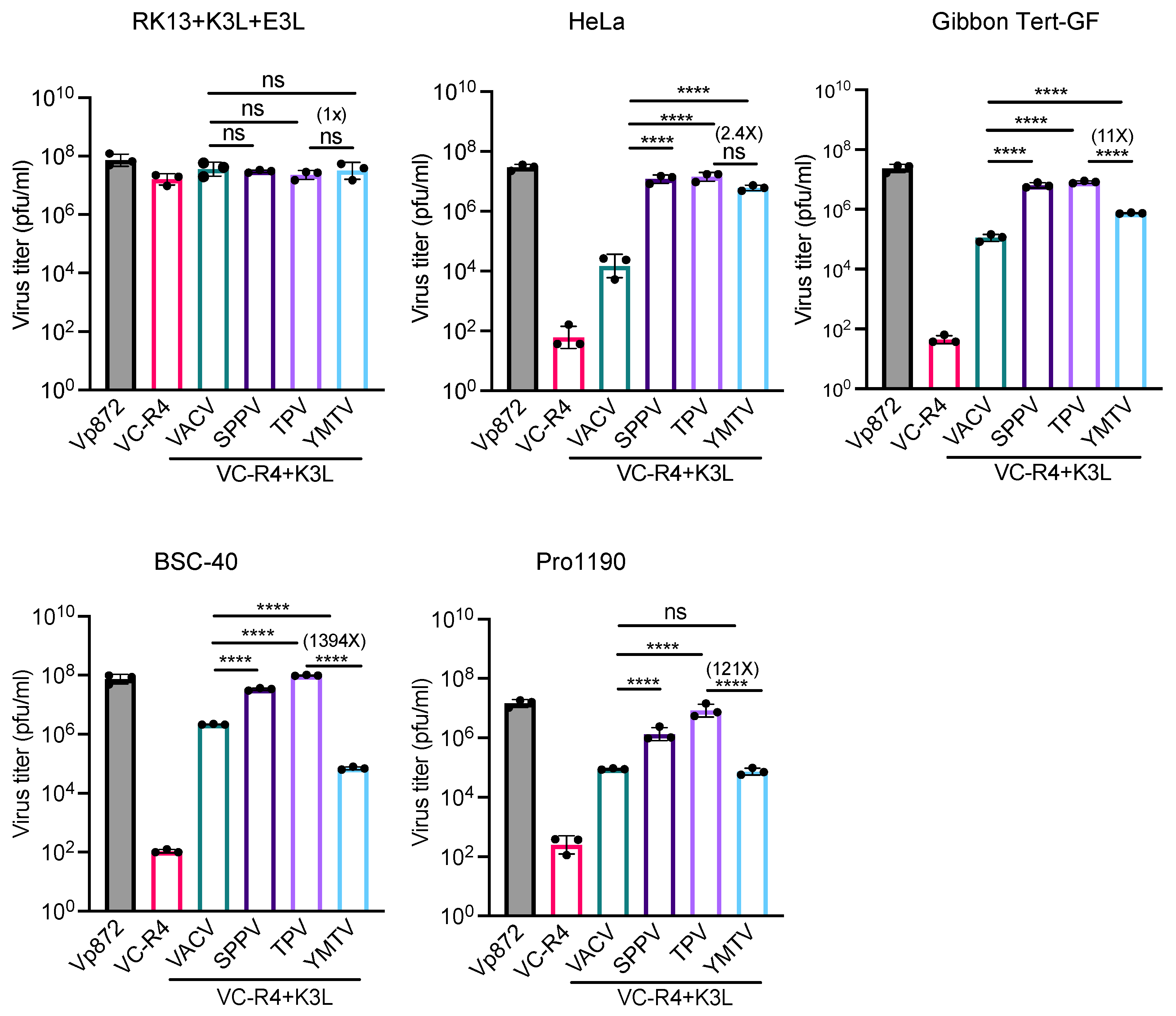 Viruses 16 01095 g006