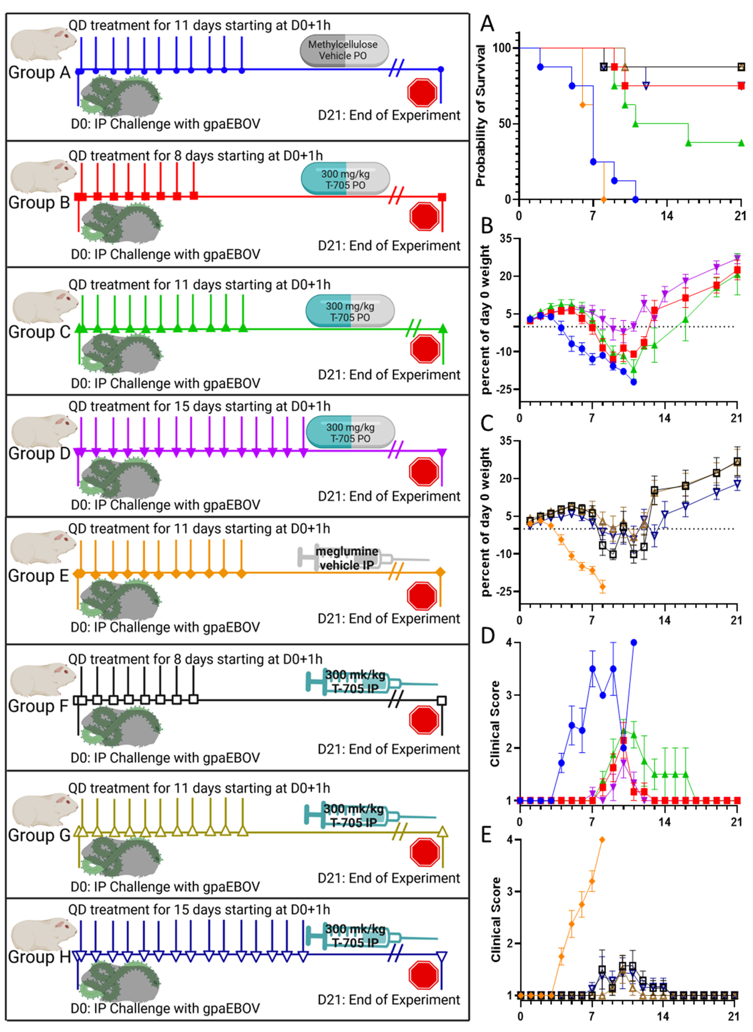 Viruses 16 01101 g002a