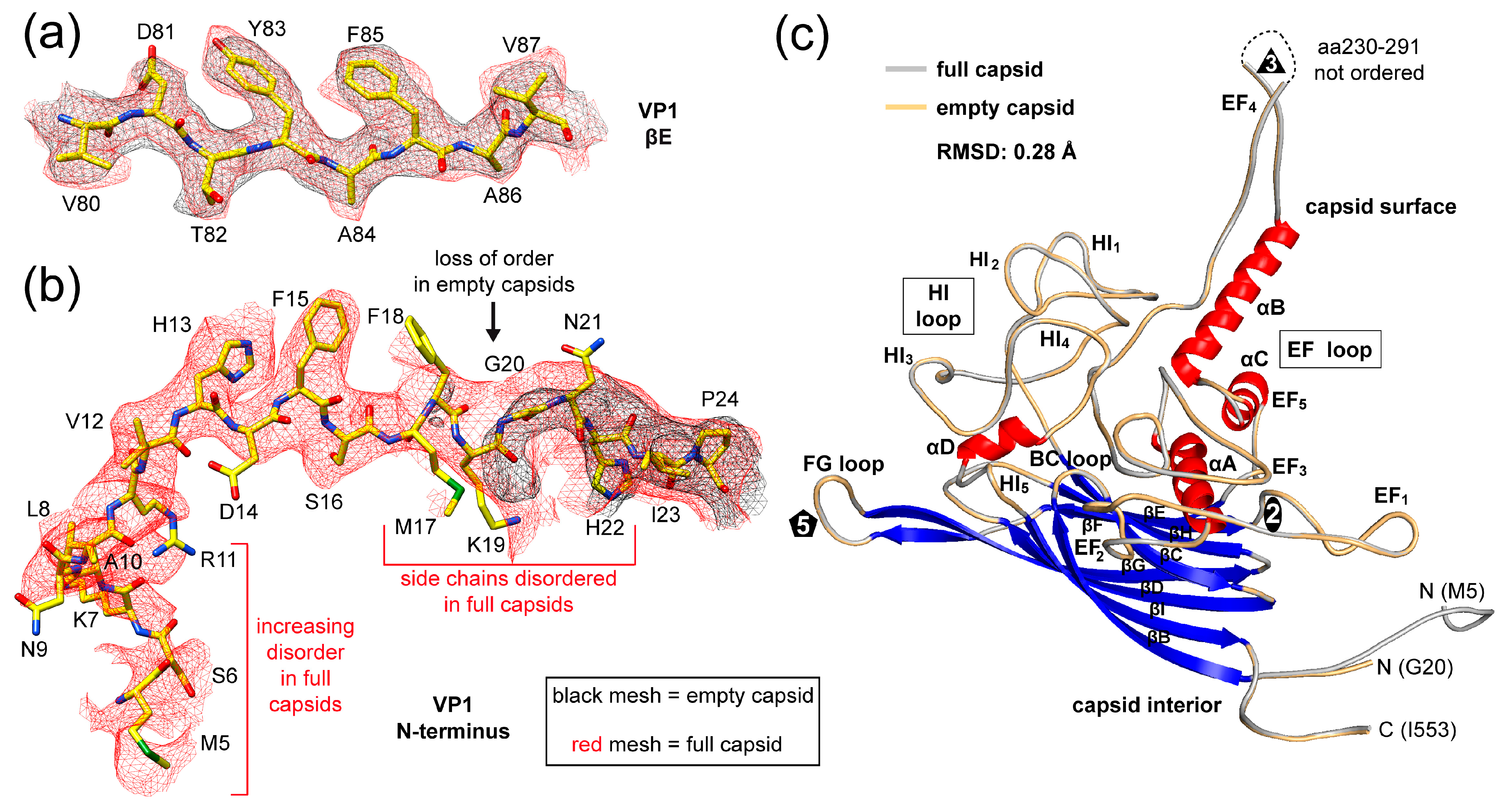 Viruses 16 01103 g003