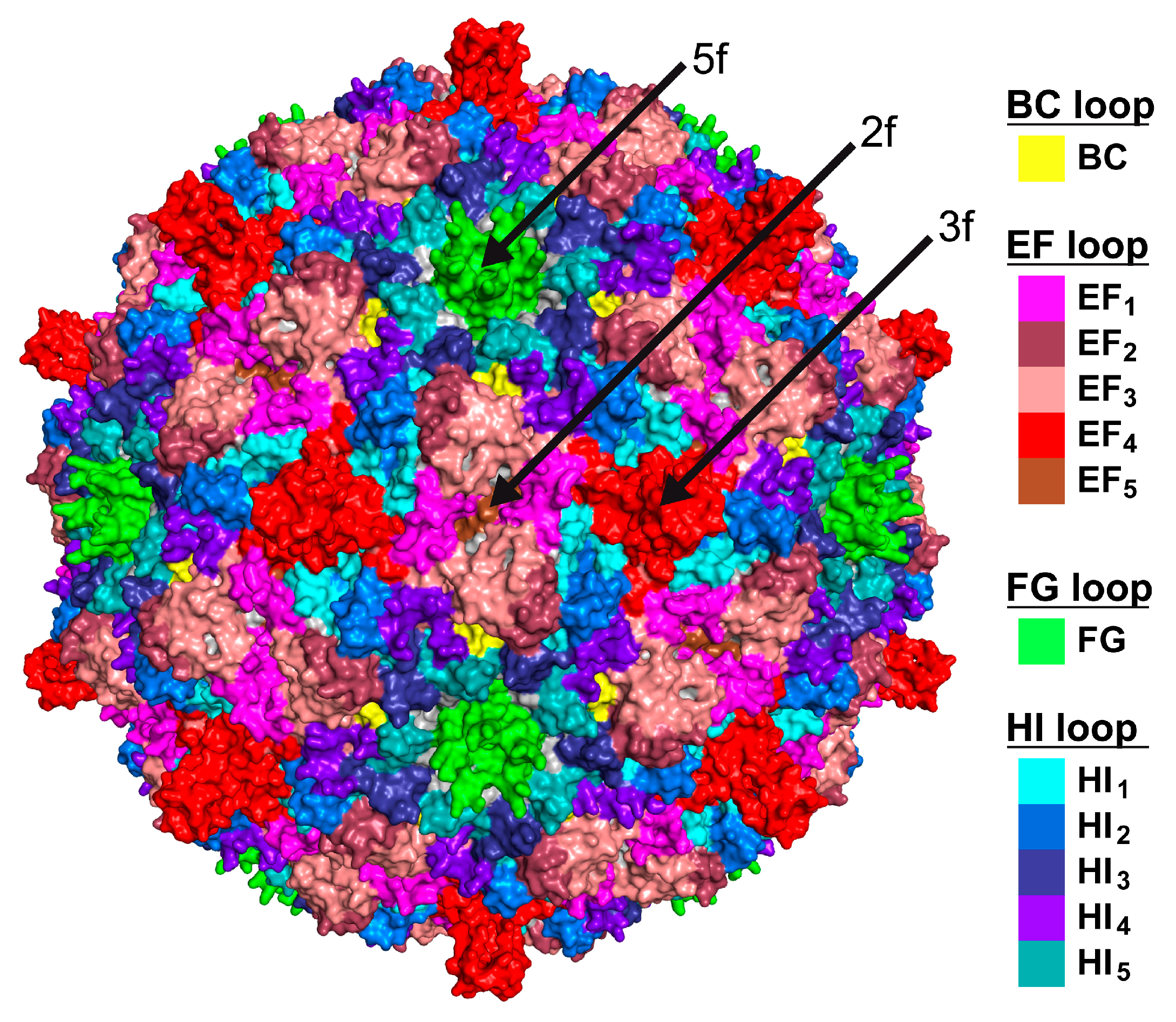 Viruses 16 01103 g004