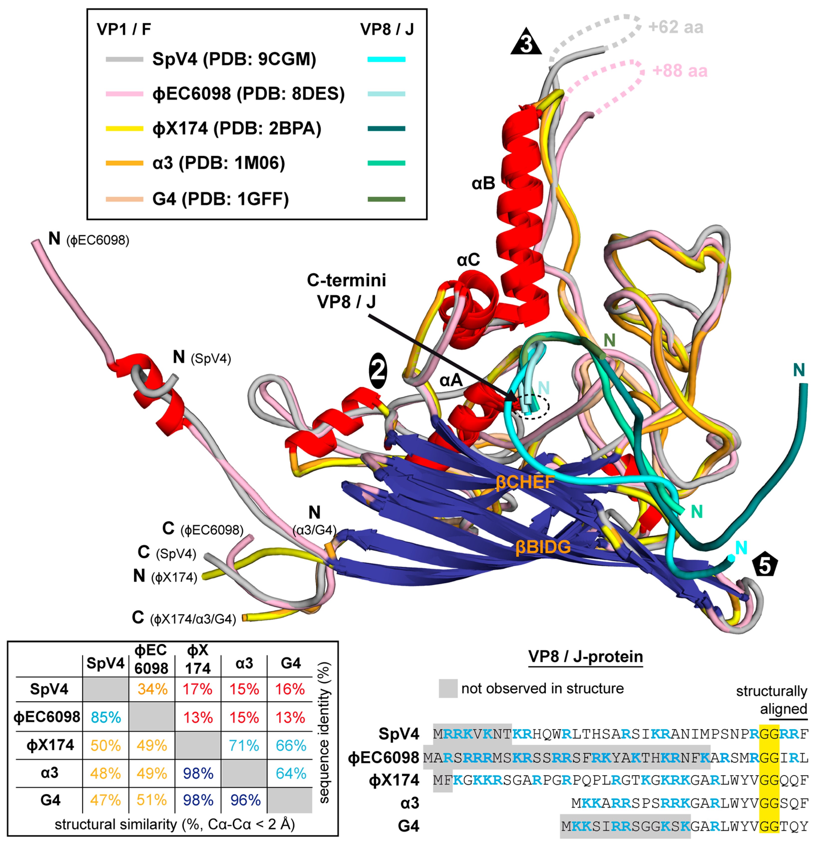 Viruses 16 01103 g008
