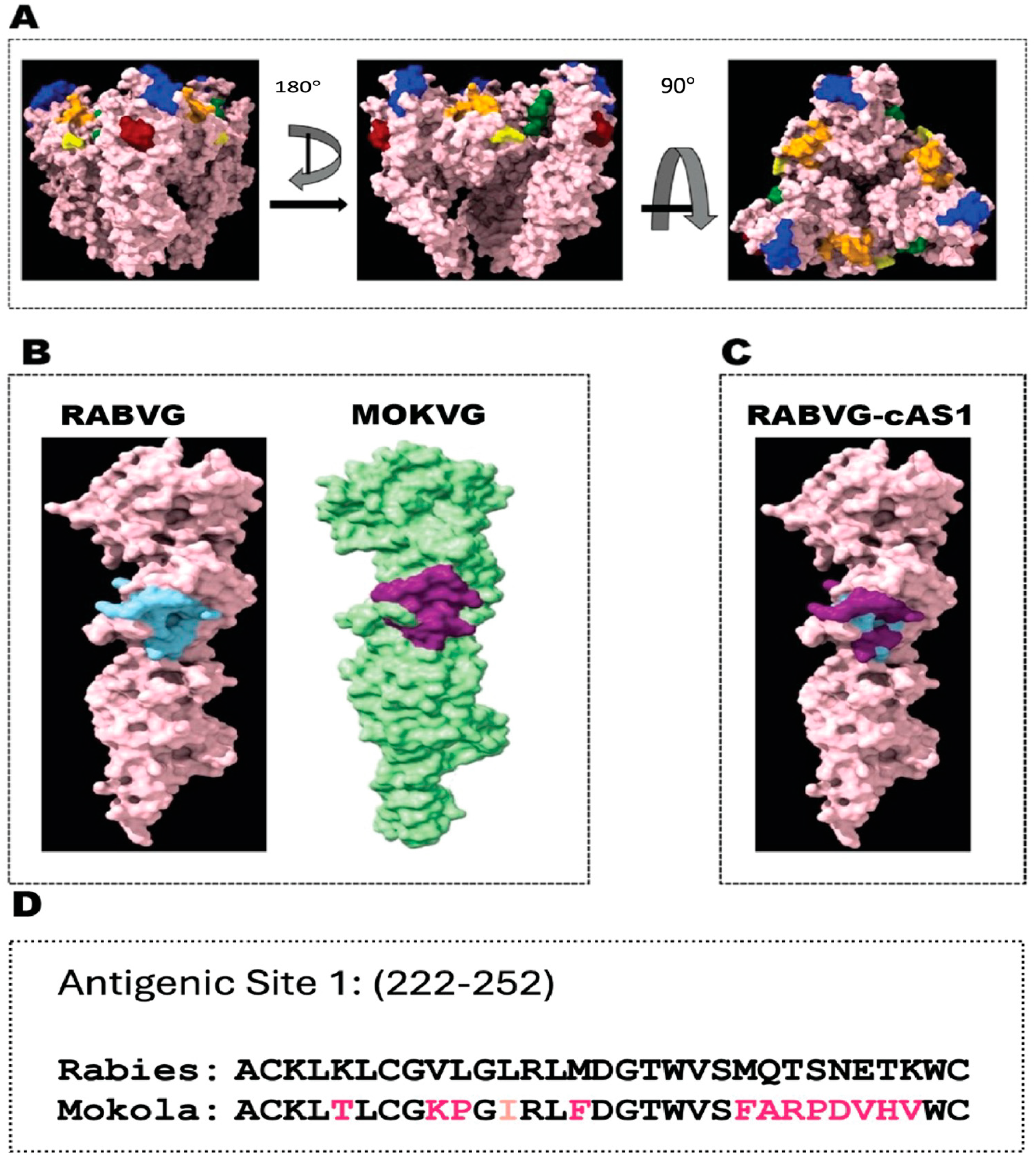 Viruses 16 01107 g001 Viruses 16 01107 g001
