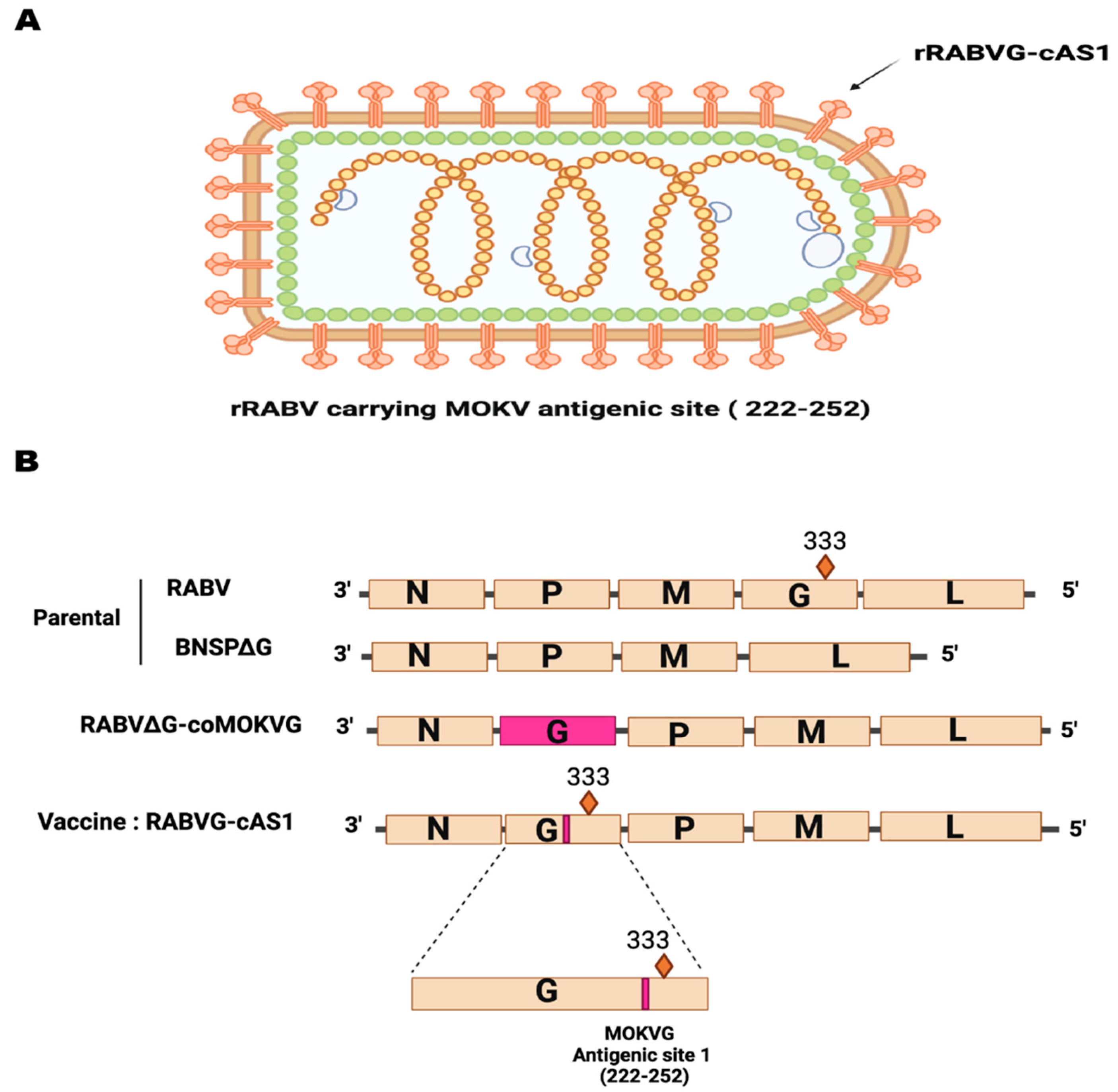 Viruses 16 01107 g002 Viruses 16 01107 g002