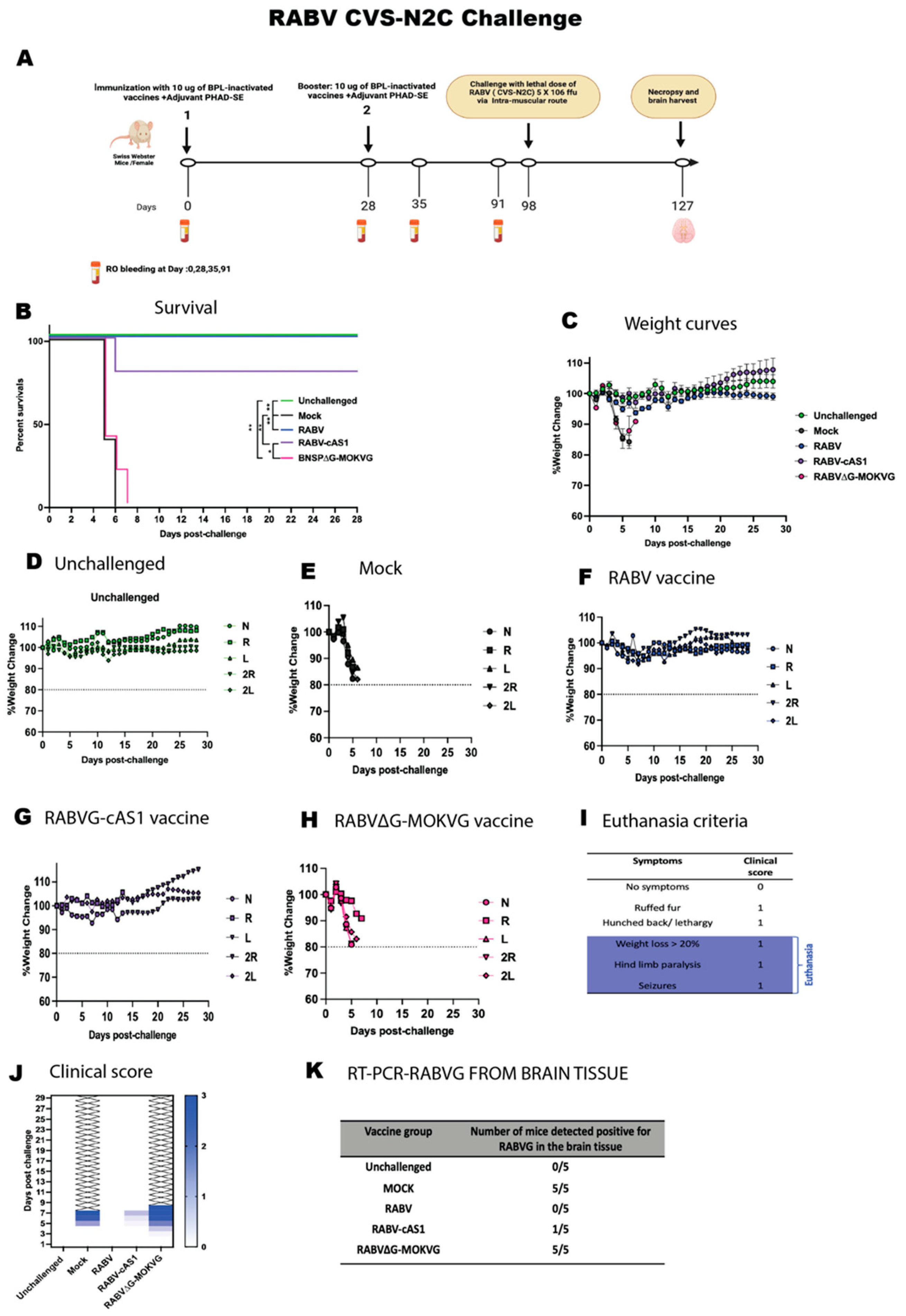 Viruses 16 01107 g006 Viruses 16 01107 g006
