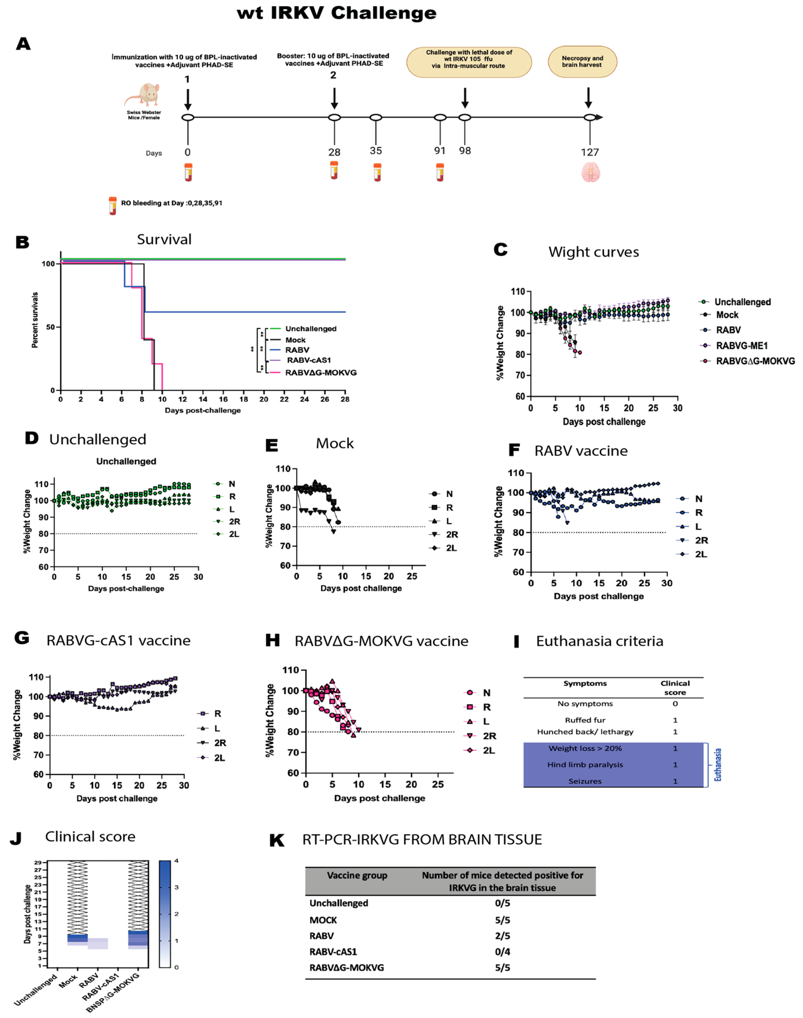 Viruses 16 01107 g007 Viruses 16 01107 g007