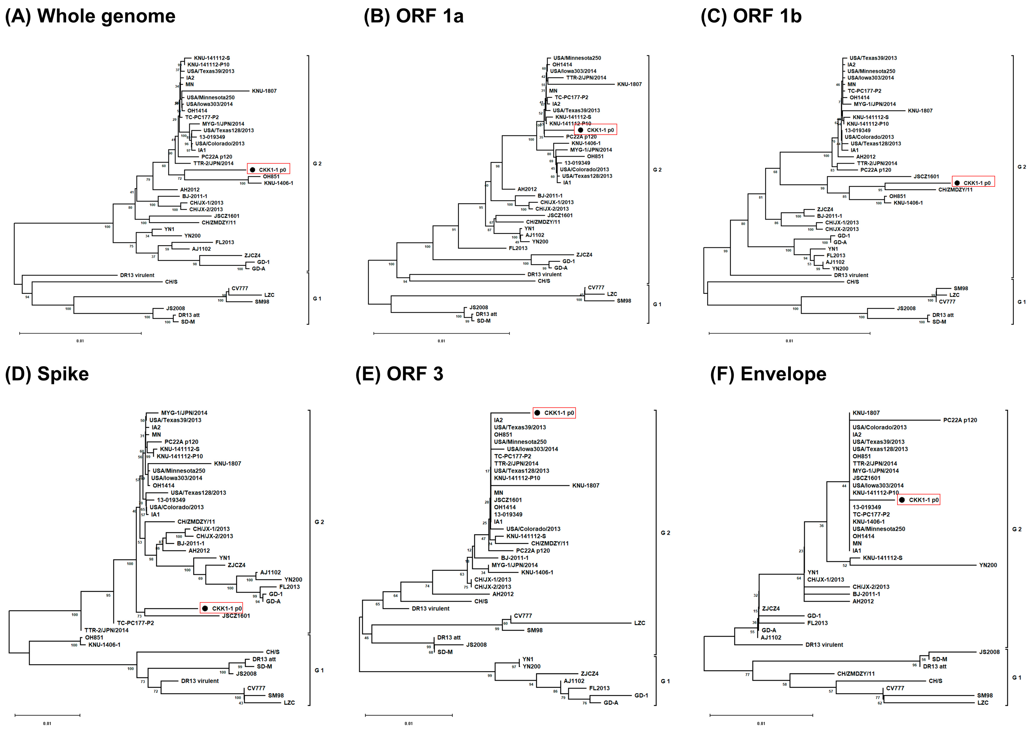 Viruses 16 01108 g001a