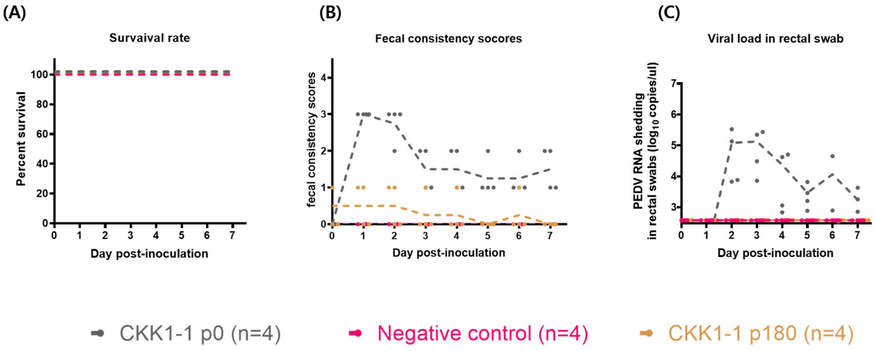 Viruses 16 01108 g004