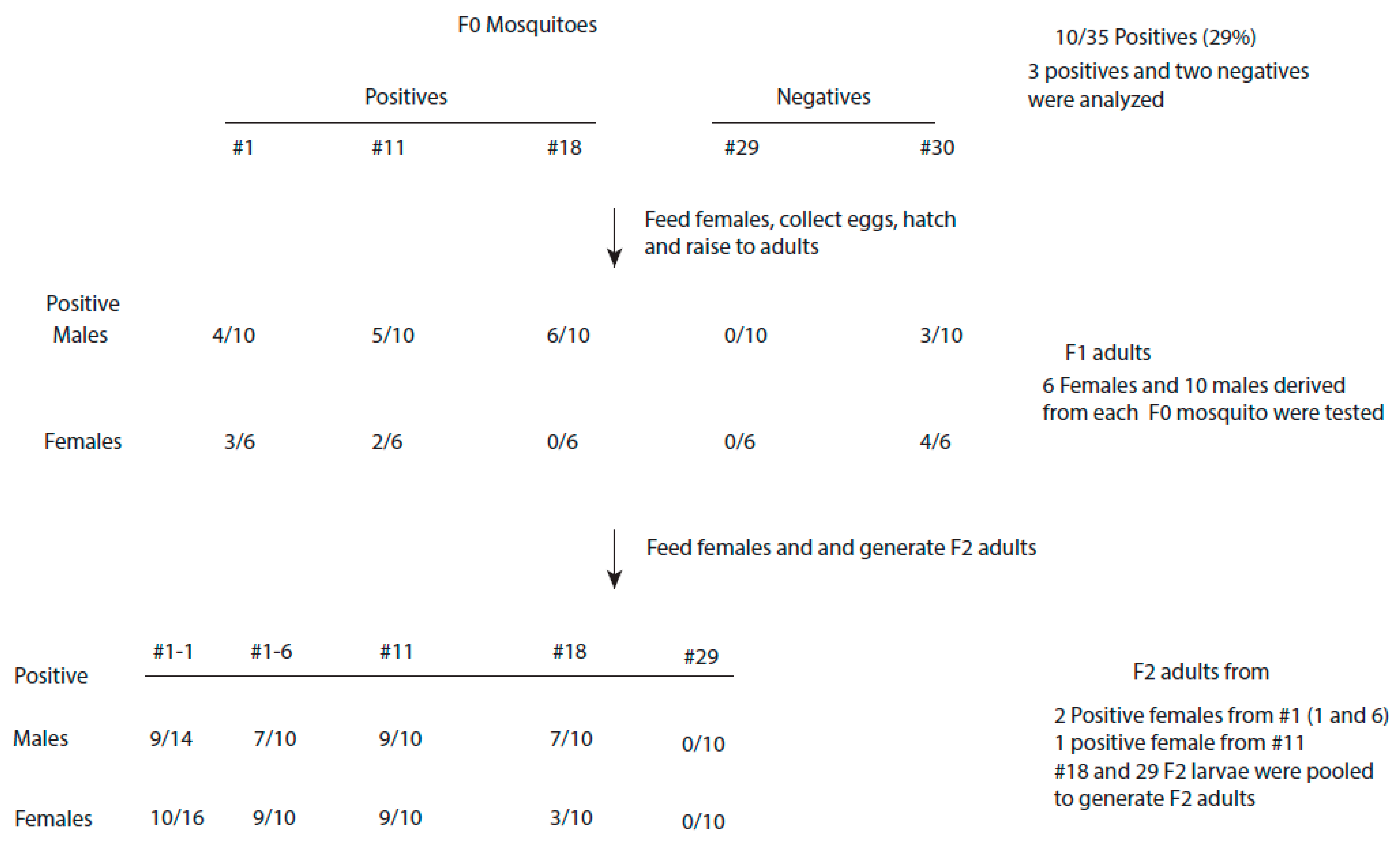 Viruses 16 01116 g002