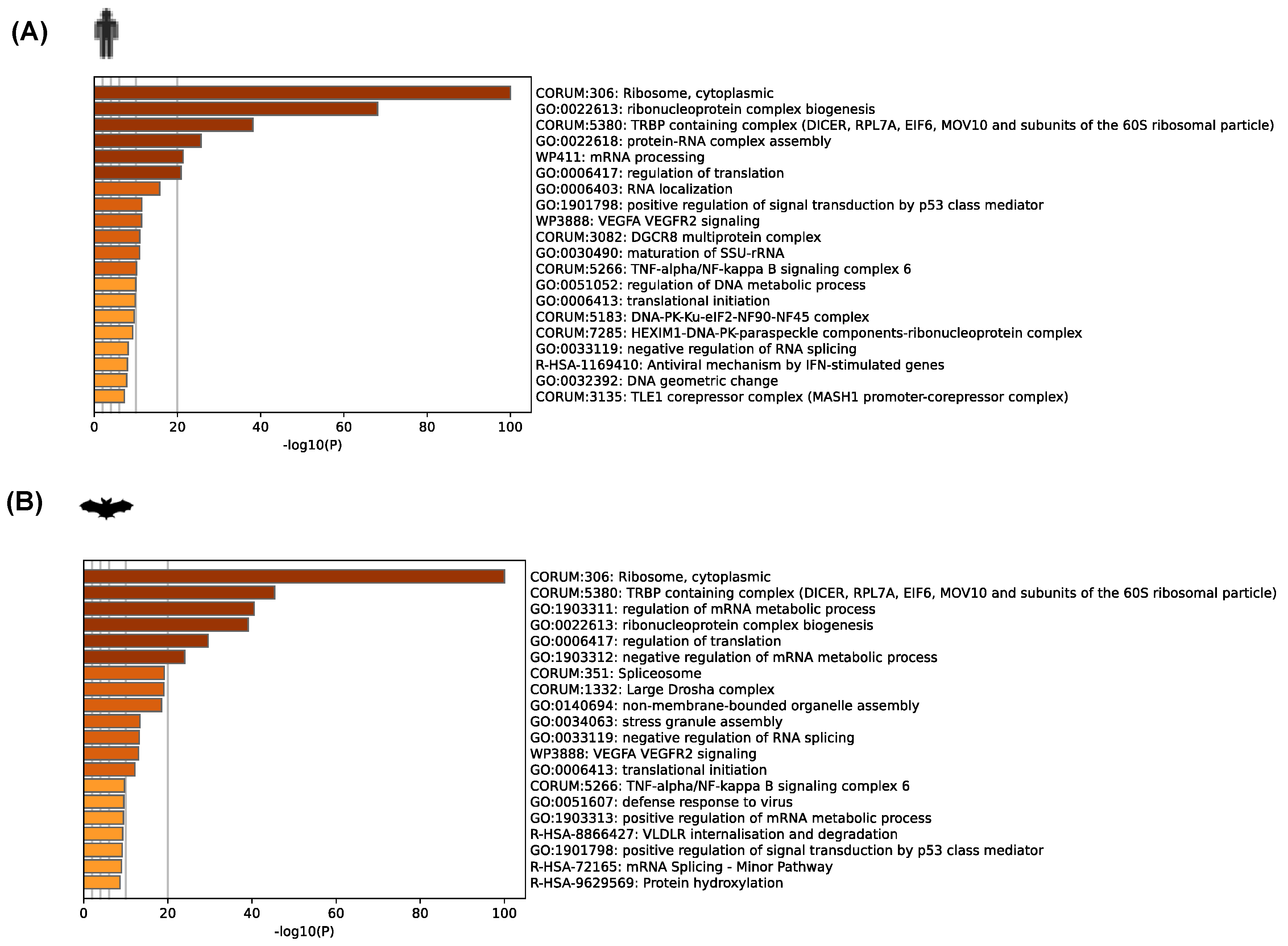 Viruses 16 01117 g003