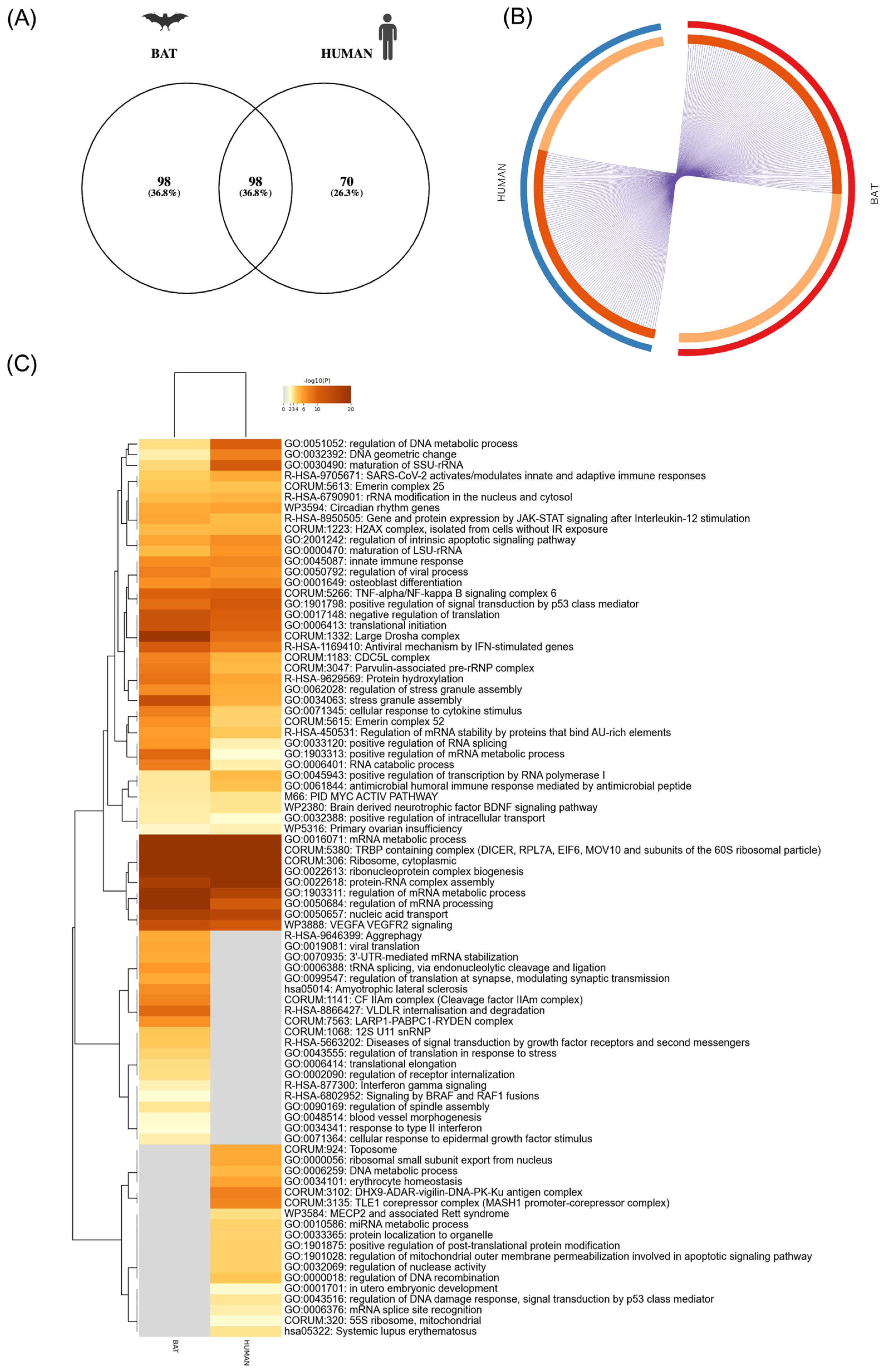 Viruses 16 01117 g004