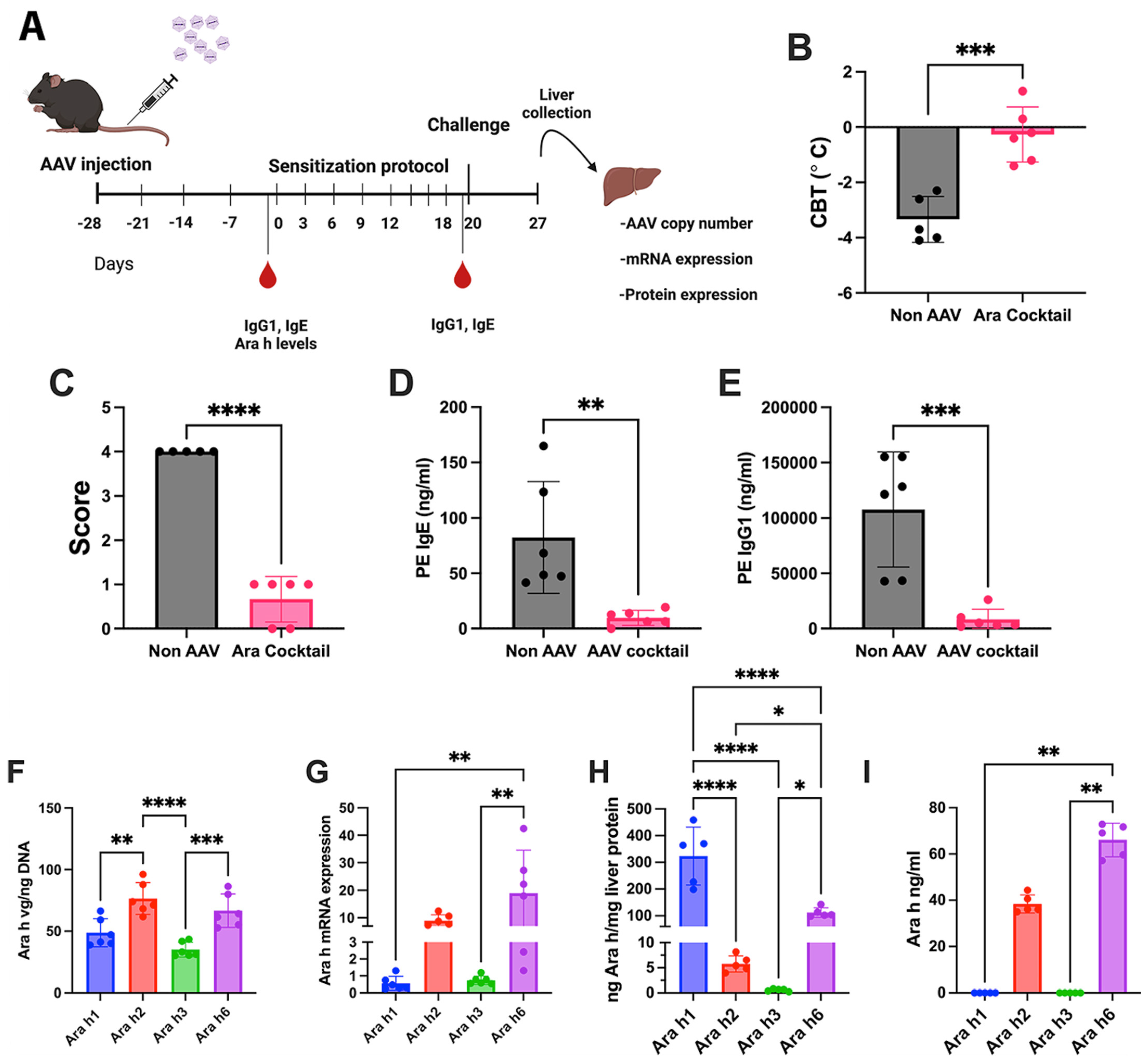 Viruses 16 01125 g003