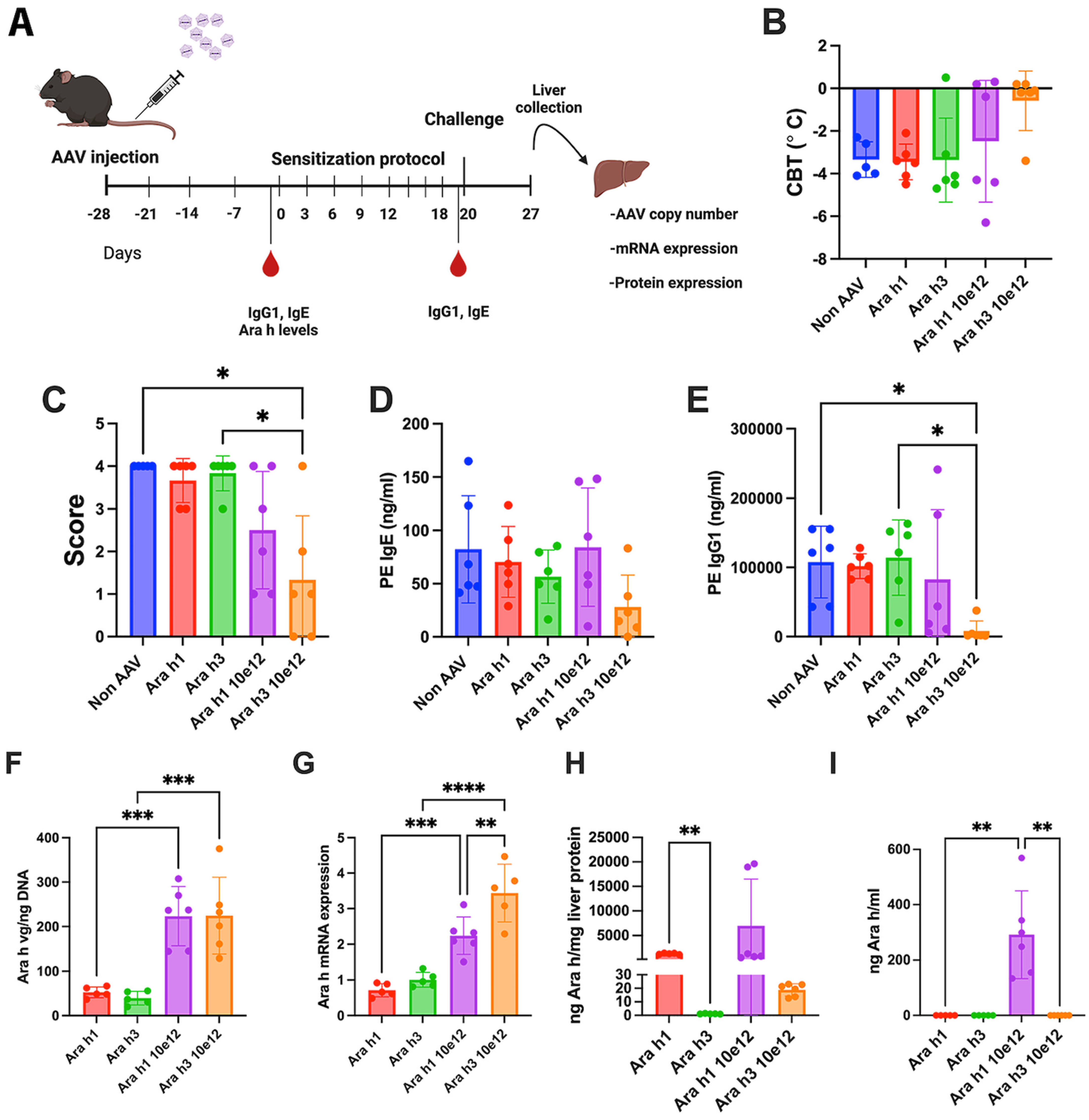 Viruses 16 01125 g005