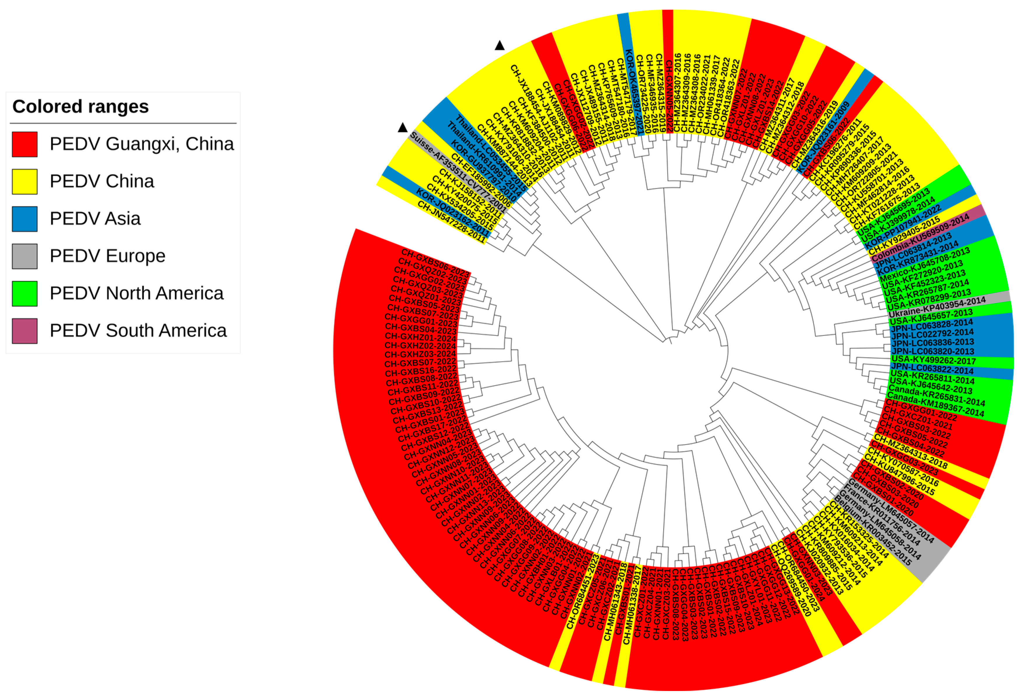 Viruses 16 01126 g005