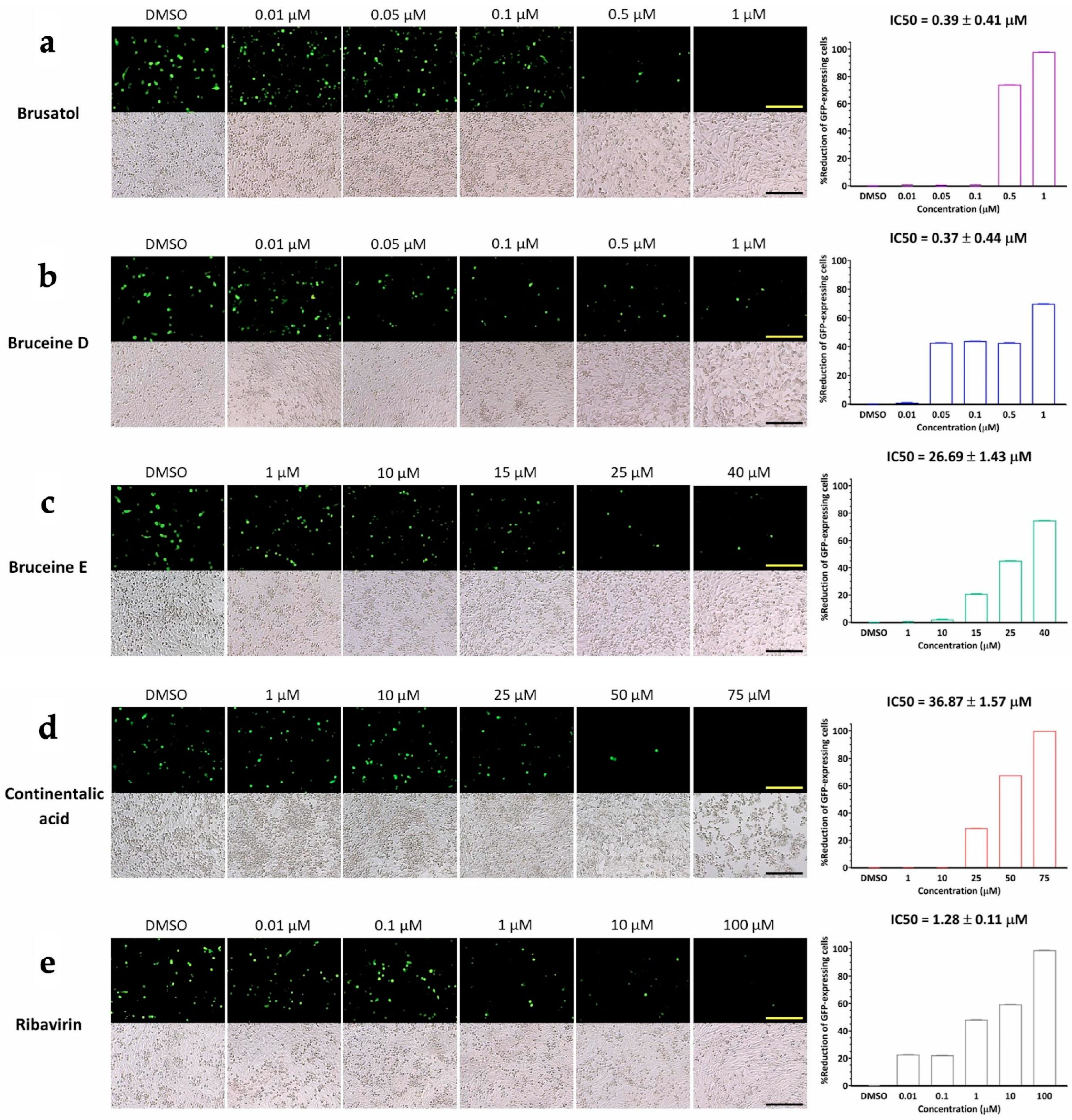 Viruses 16 01128 g004 Viruses 16 01128 g004