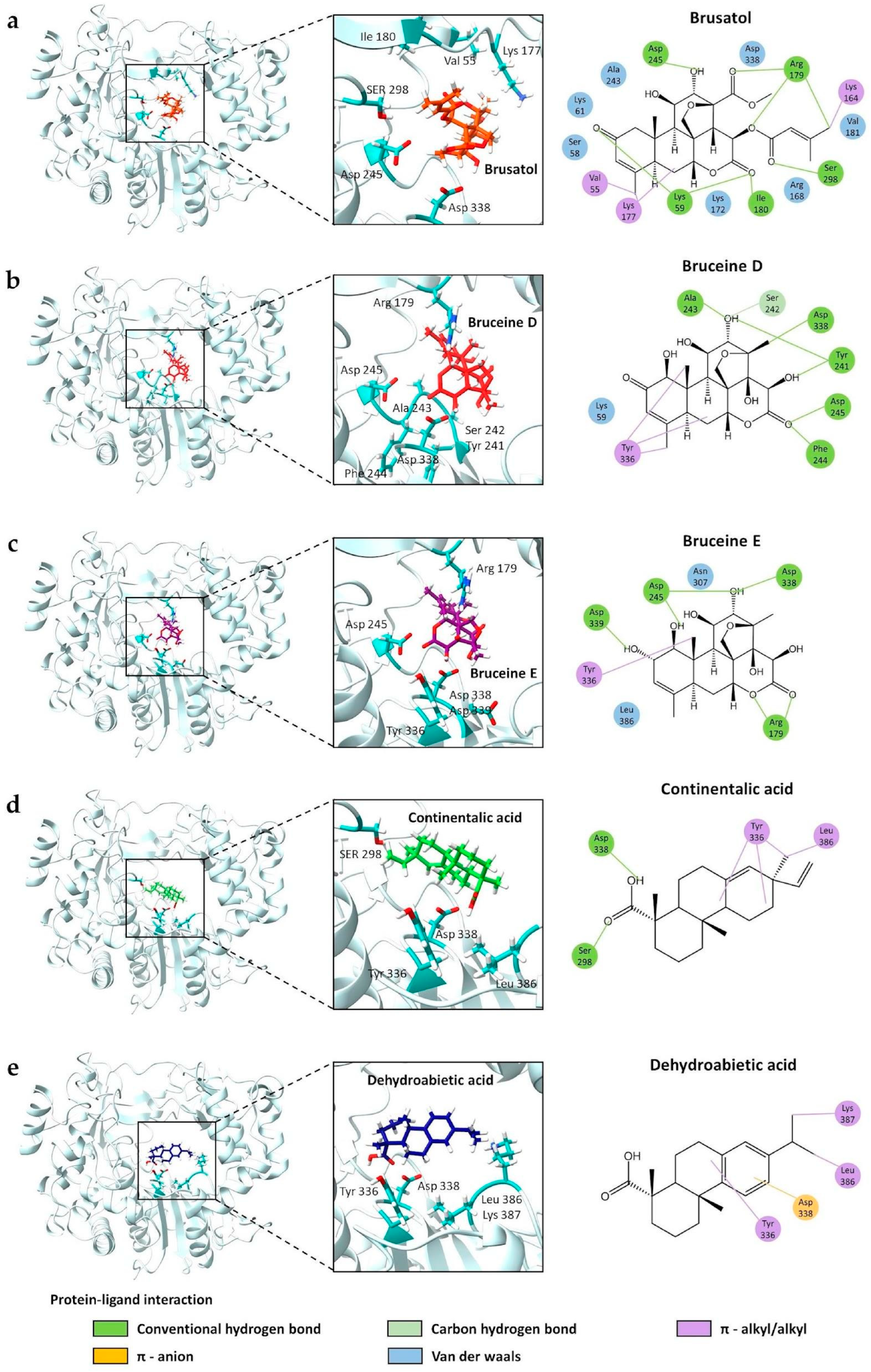 Viruses 16 01128 g005 Viruses 16 01128 g005