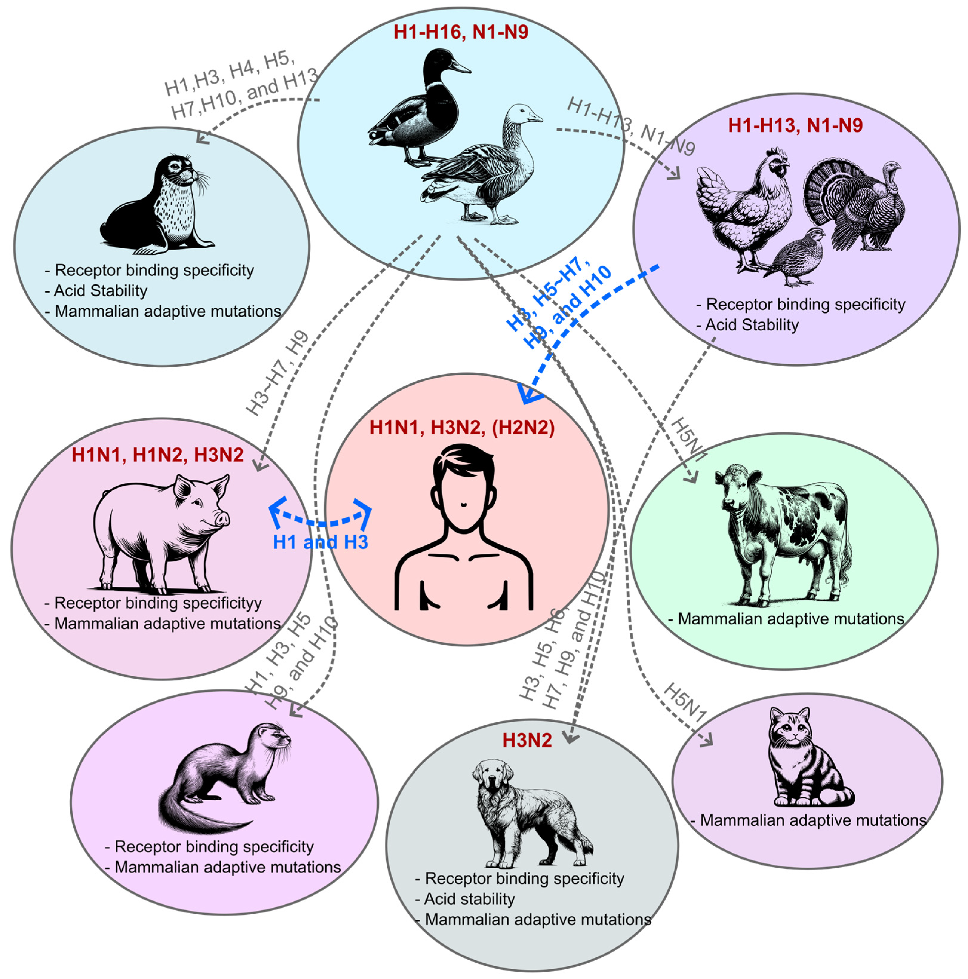 Viruses 16 01129 g001 Viruses 16 01129 g001