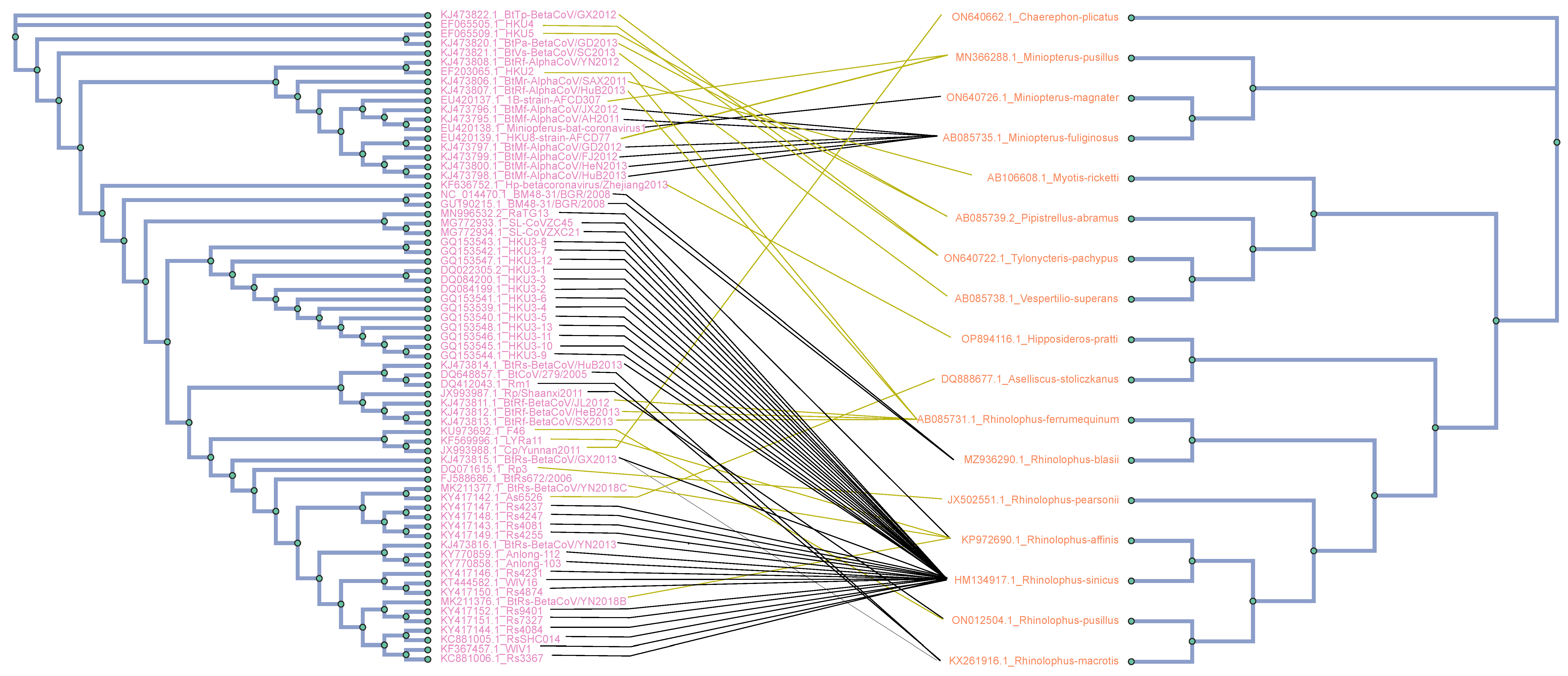Viruses 16 01133 g001 Viruses 16 01133 g001