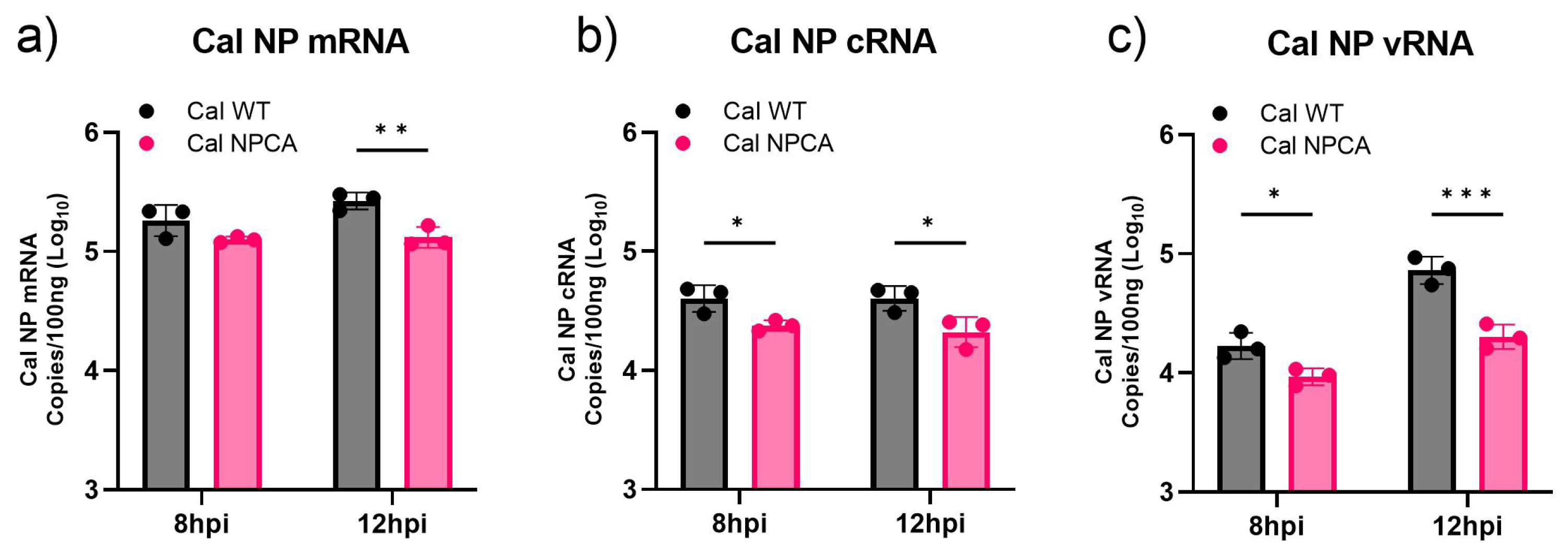 Viruses 16 01136 g003