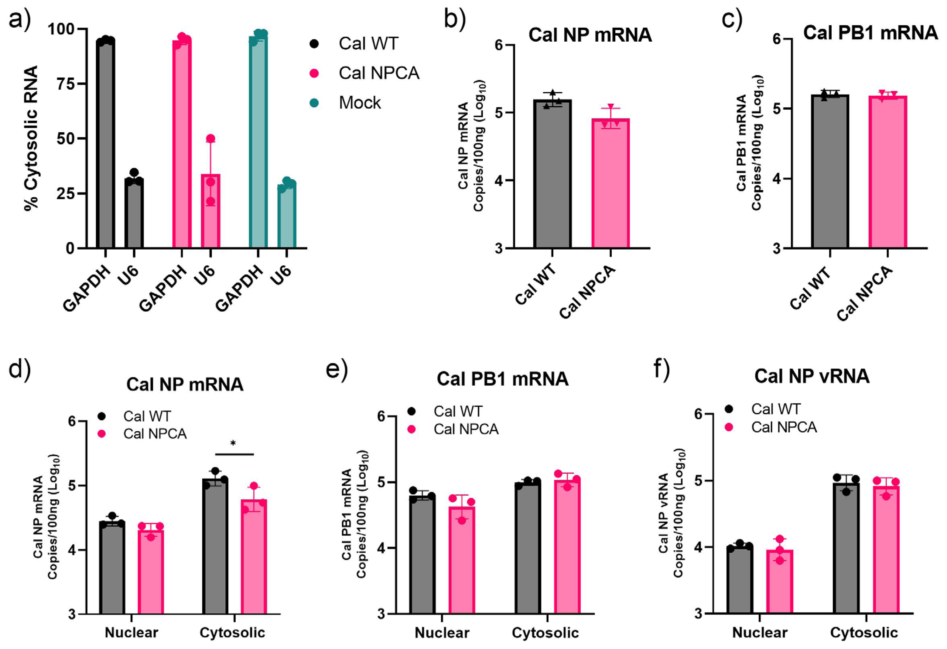 Viruses 16 01136 g004