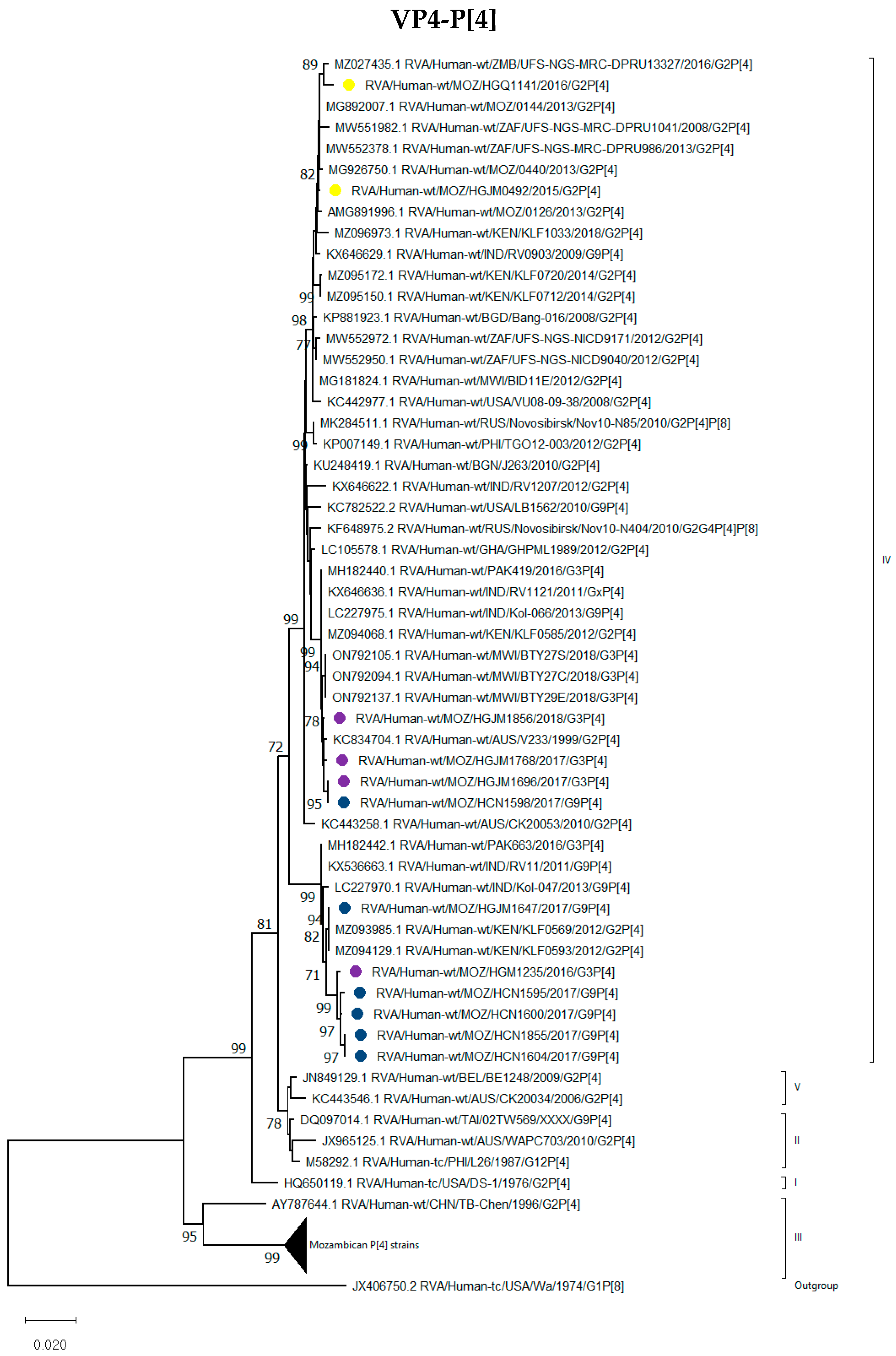 Viruses 16 01140 g002