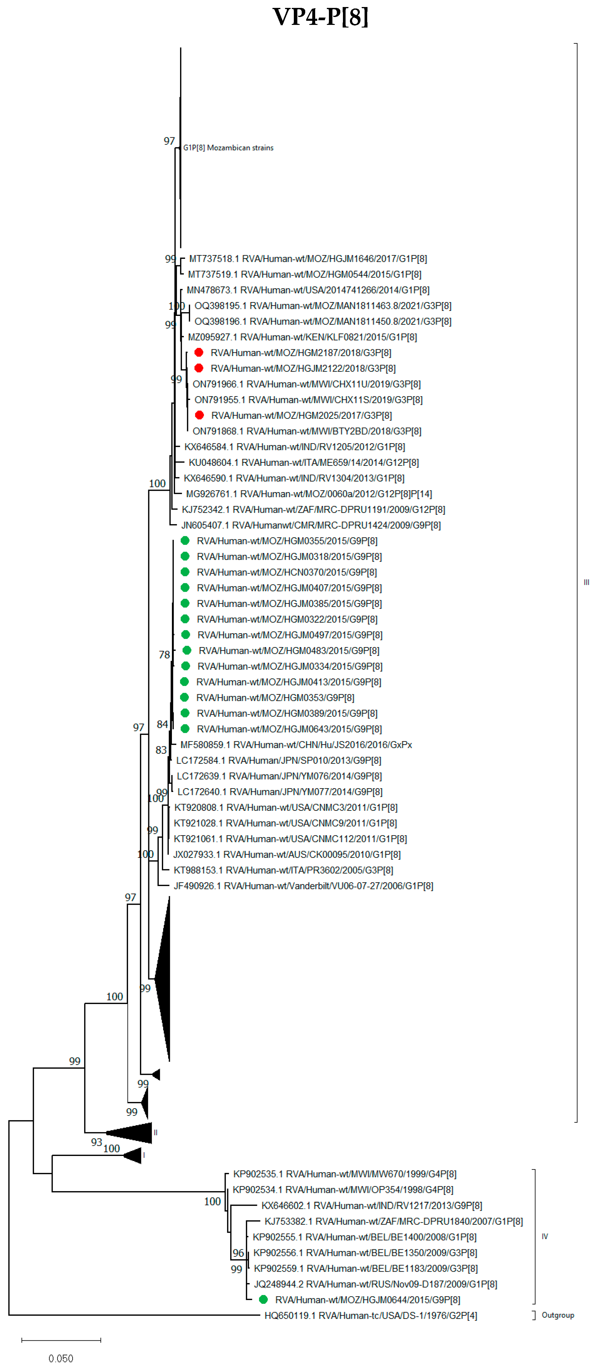 Viruses 16 01140 g004
