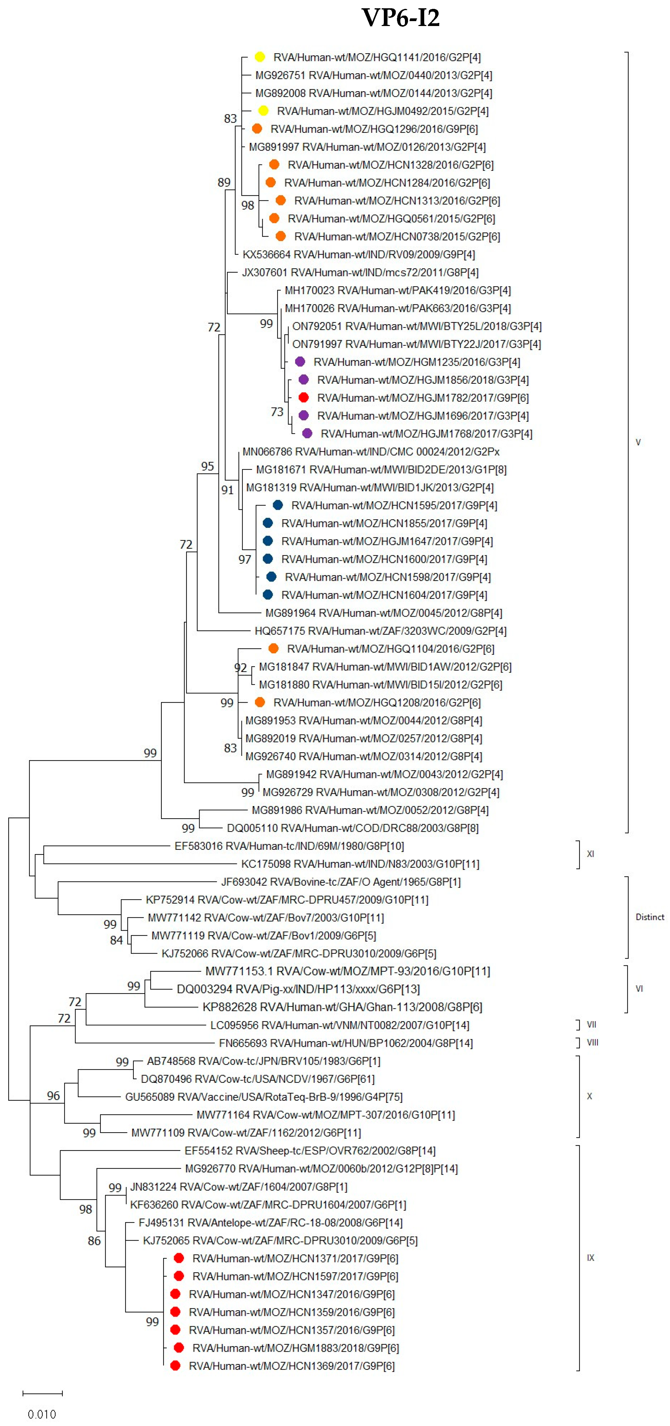 Viruses 16 01140 g005