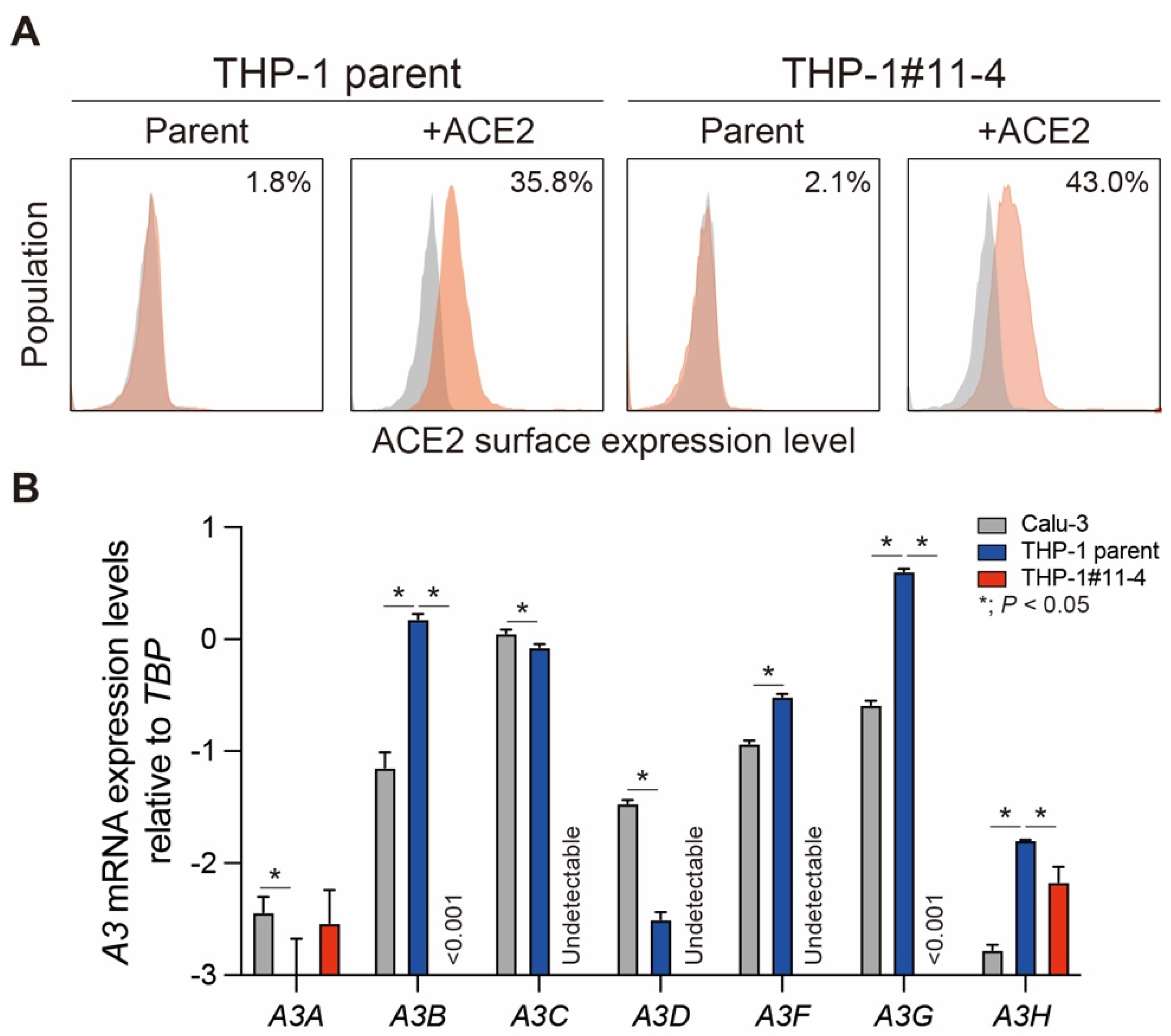 Viruses 16 01141 g001