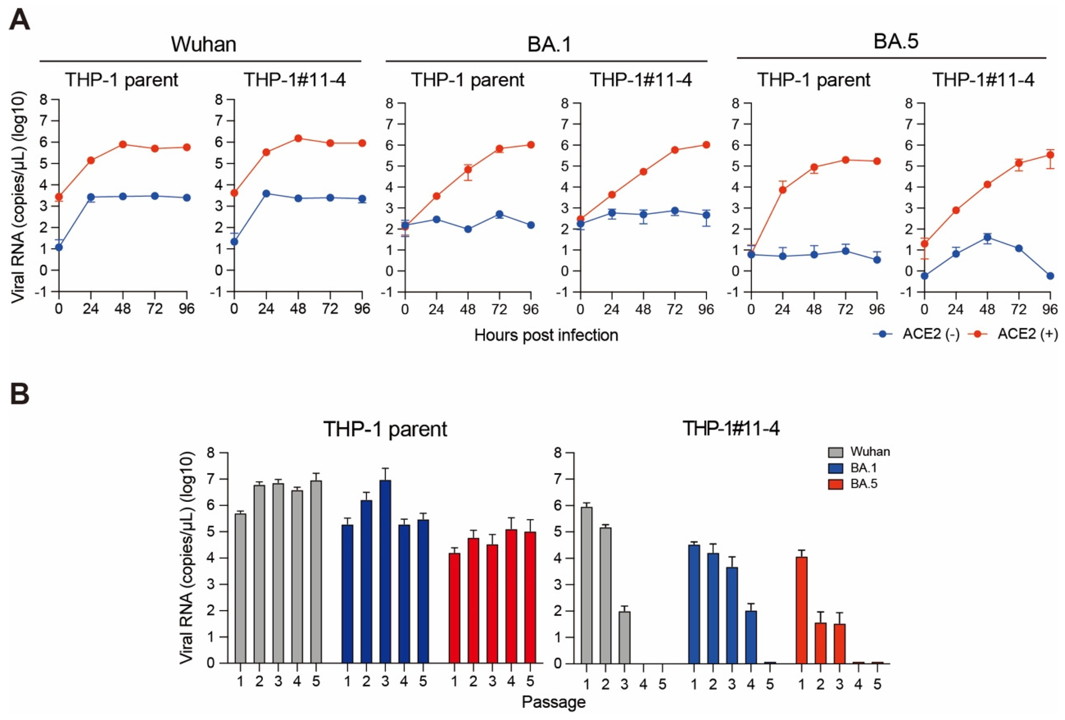 Viruses 16 01141 g002