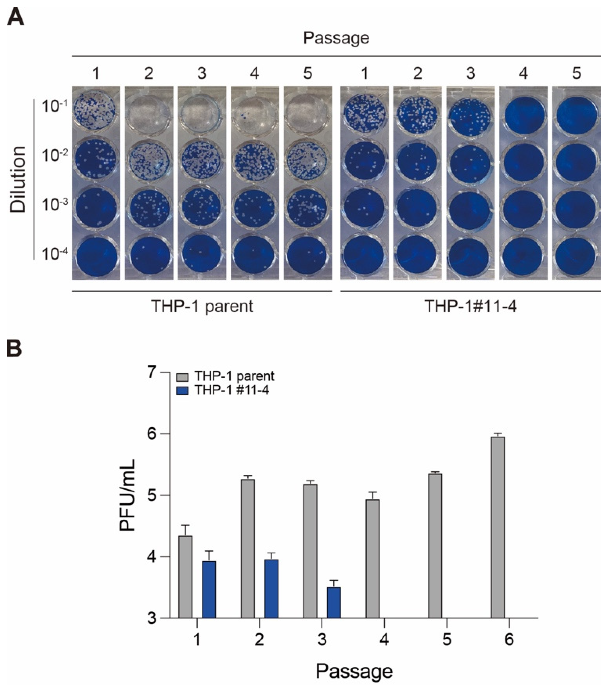 Viruses 16 01141 g003