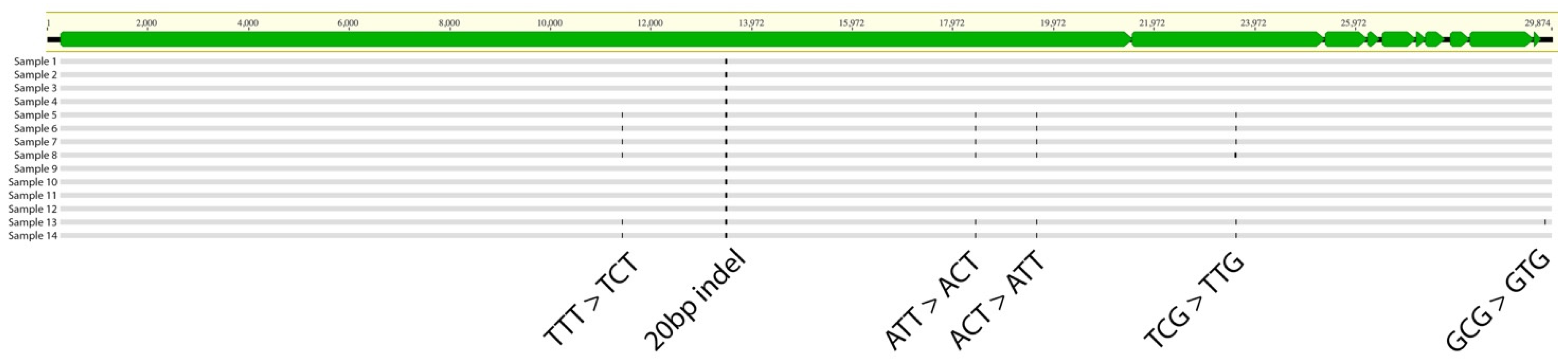 Viruses 16 01141 g004